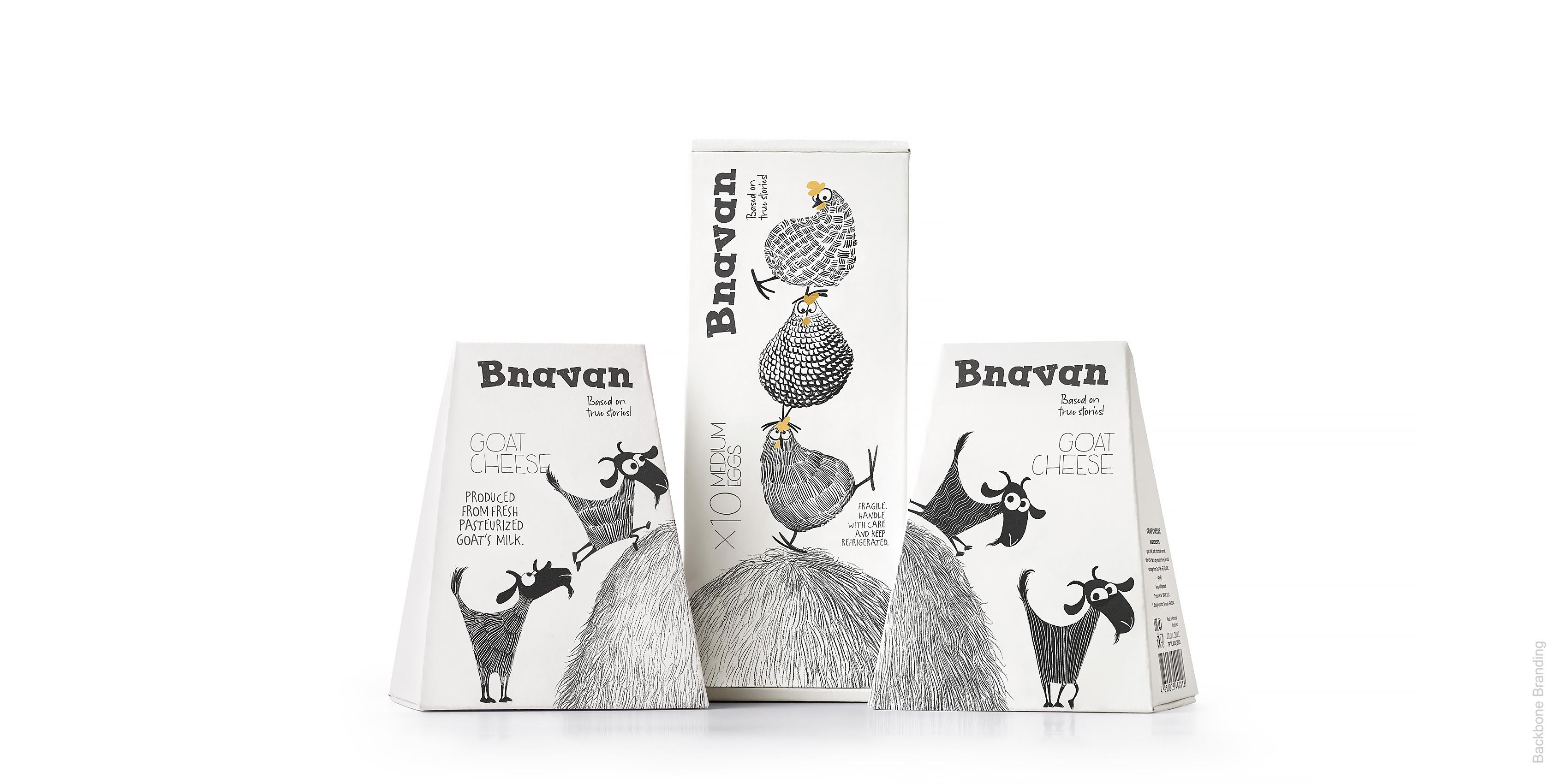 bvanan_identity_08