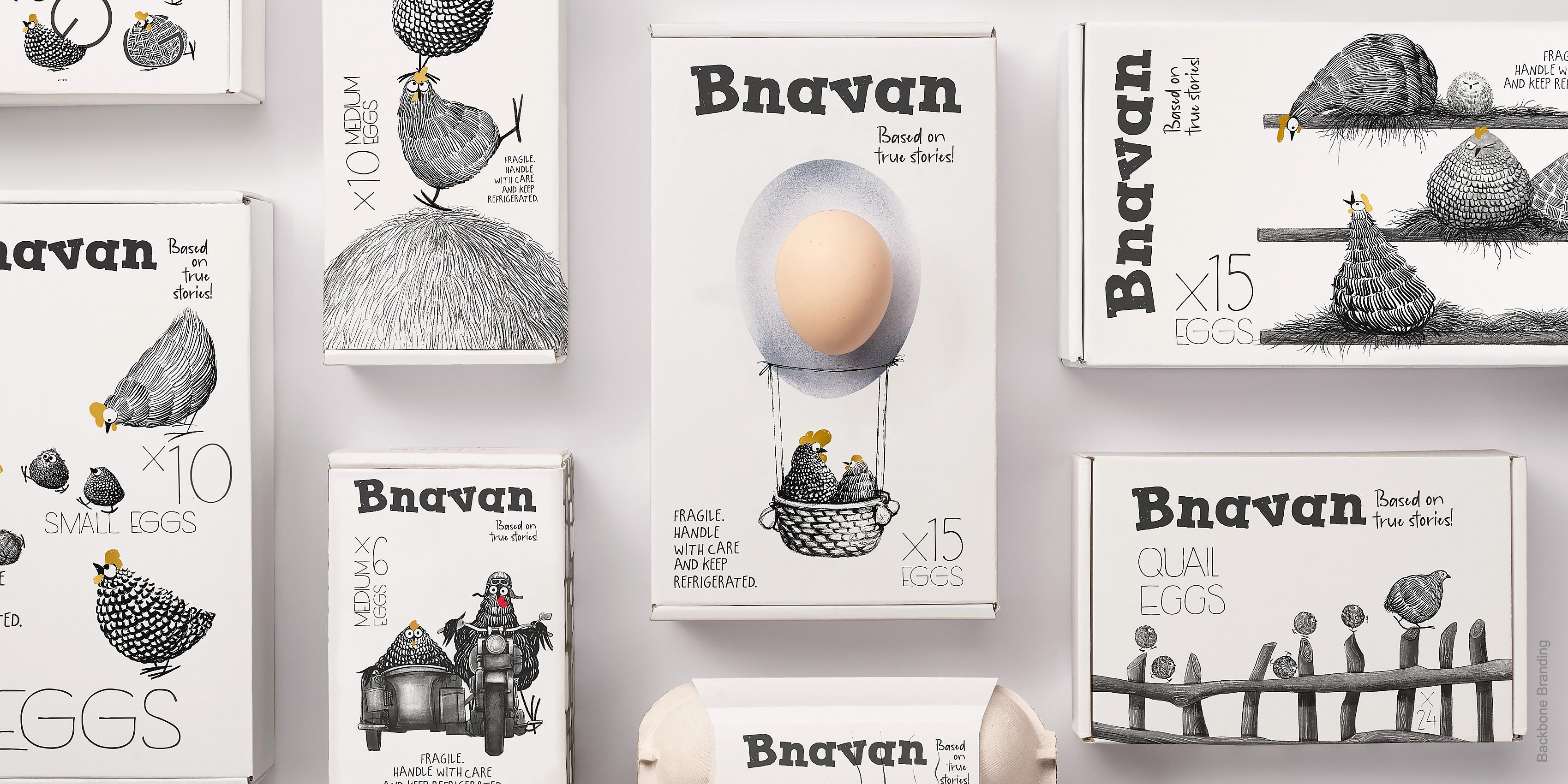 bnavan_eggs_01