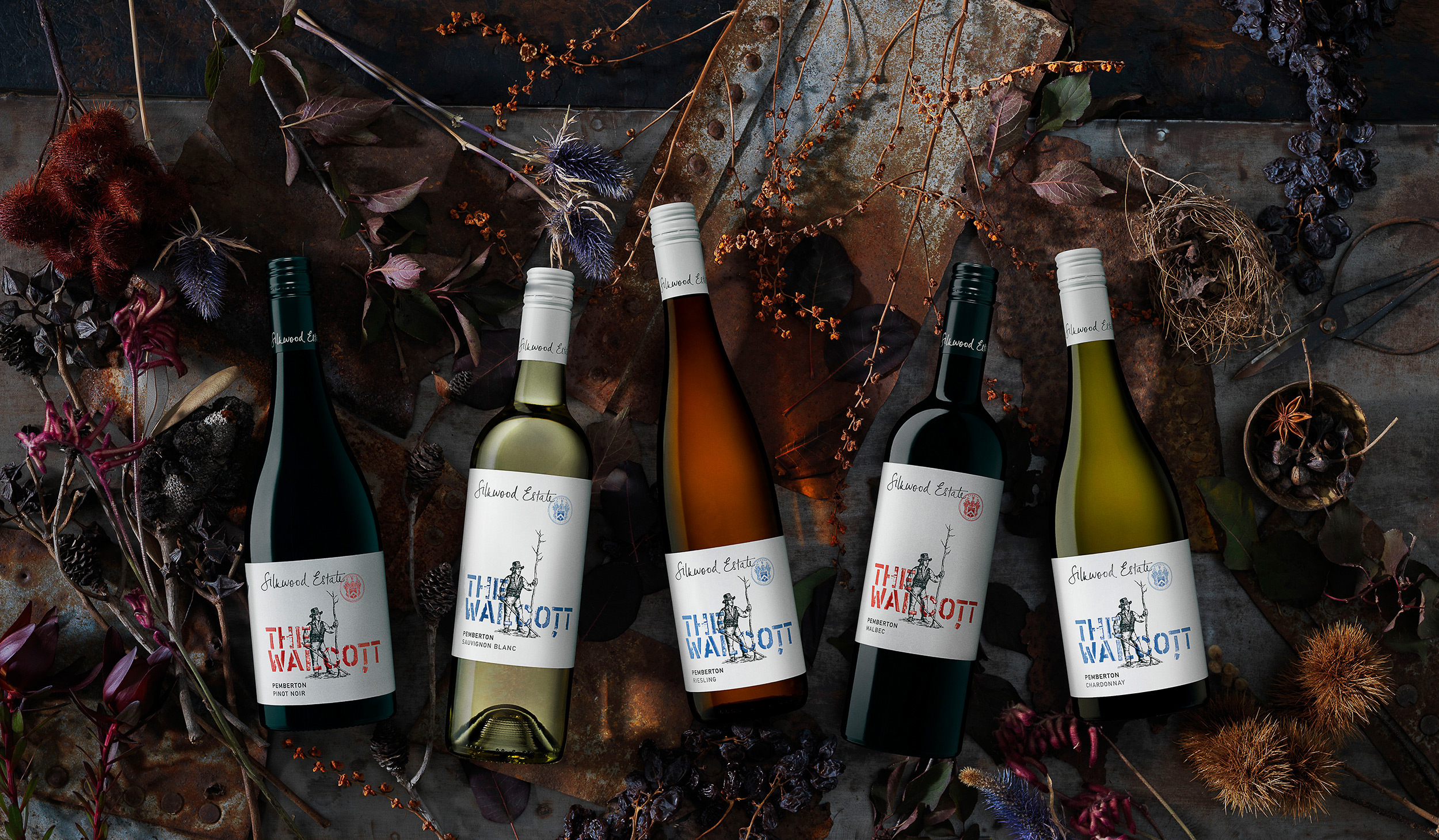 wine Australia australian wine Label wine label the walcott
