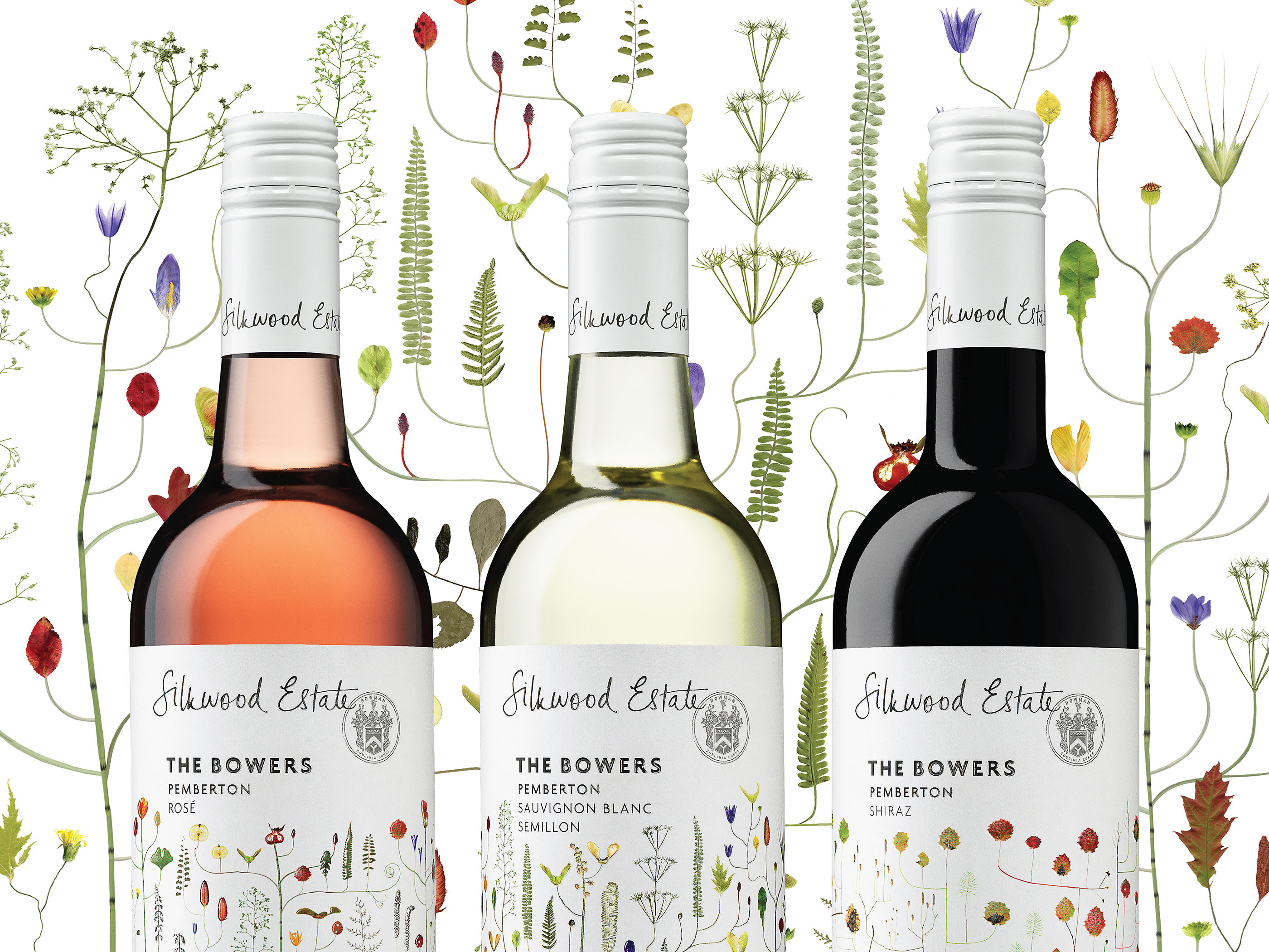 wine wine label australian wine Australia Packaging packaging design Label