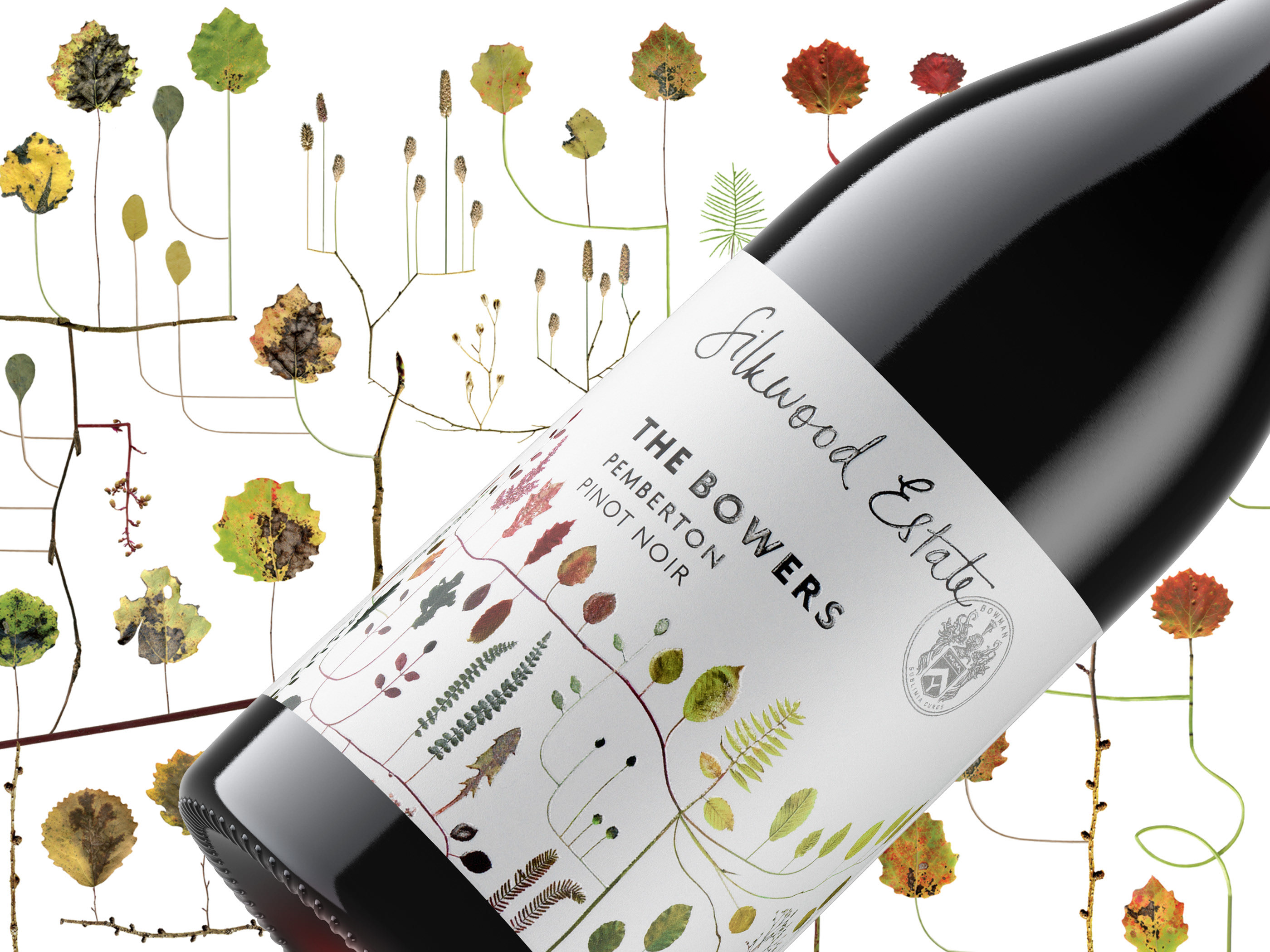 wine wine label australian wine Australia Packaging packaging design Label