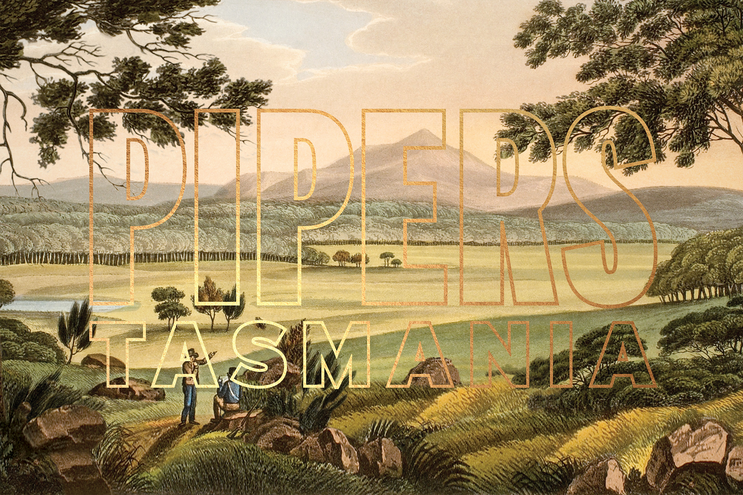 Harcus harcus design label design Pipers   pipers tasmania sparkling label sparkling wine tasmanian wine wine label