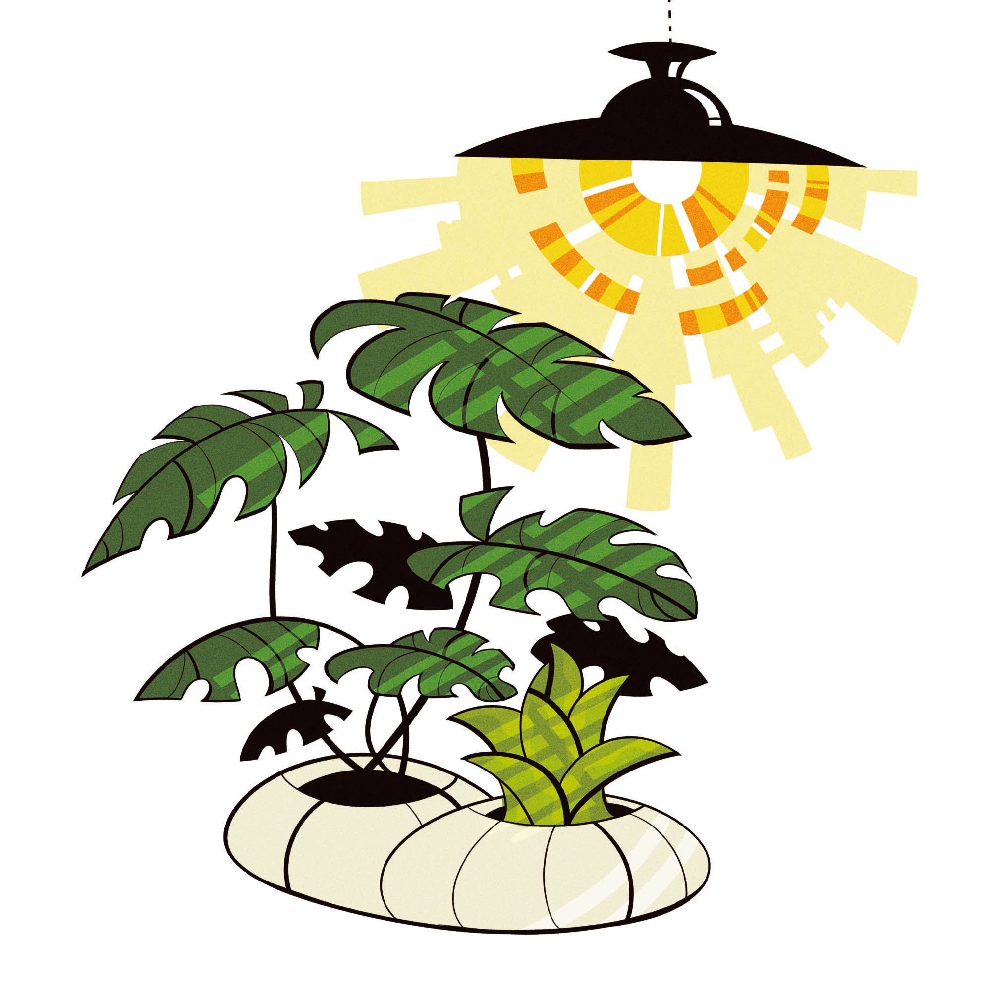 ILLUSTRATION  Digital Art  Drawing  Character design  plants Flowers botanical Nature Tree  forest