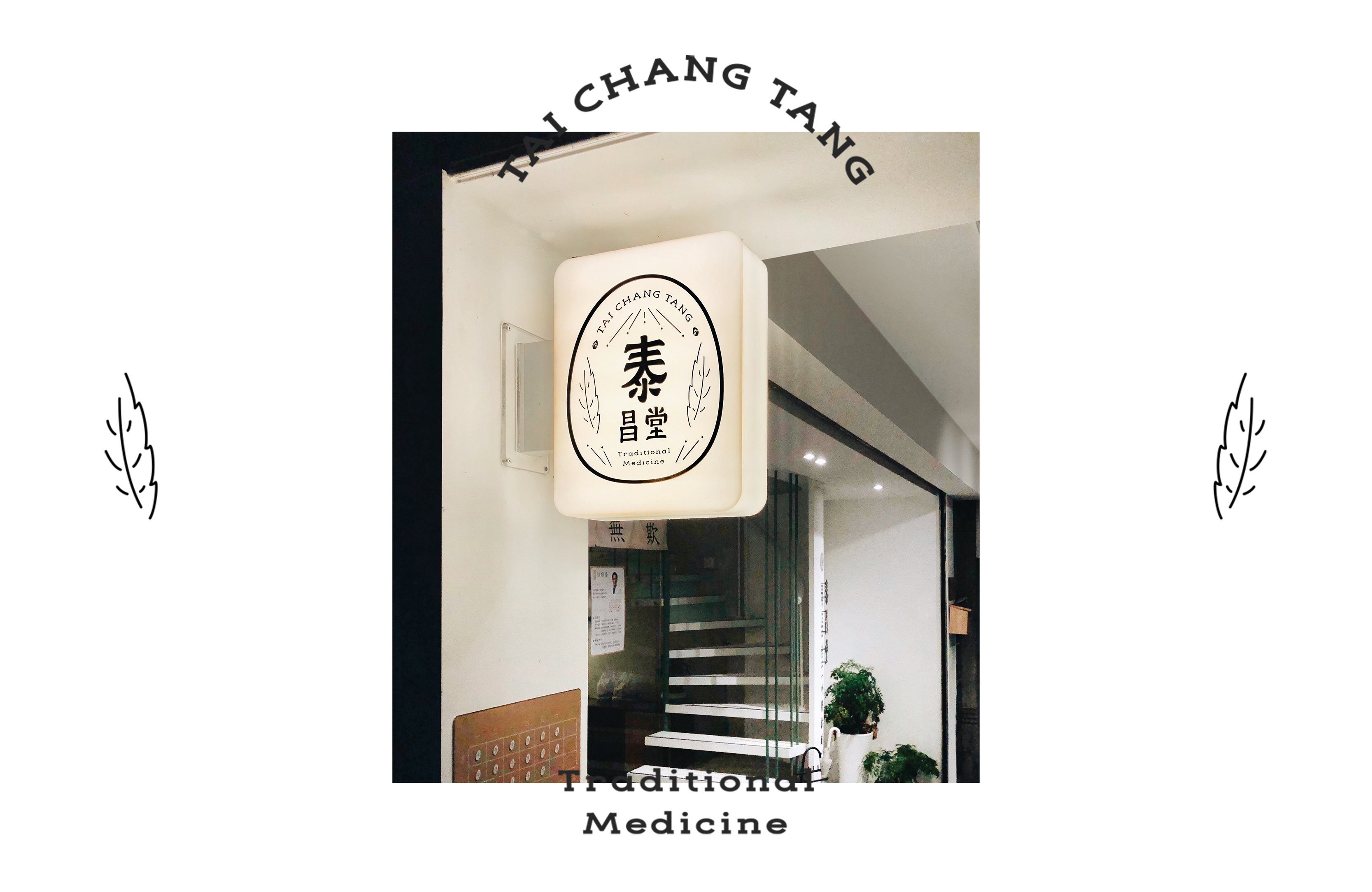 branding  chinese clinic green logo medcine namecard Nature traditional