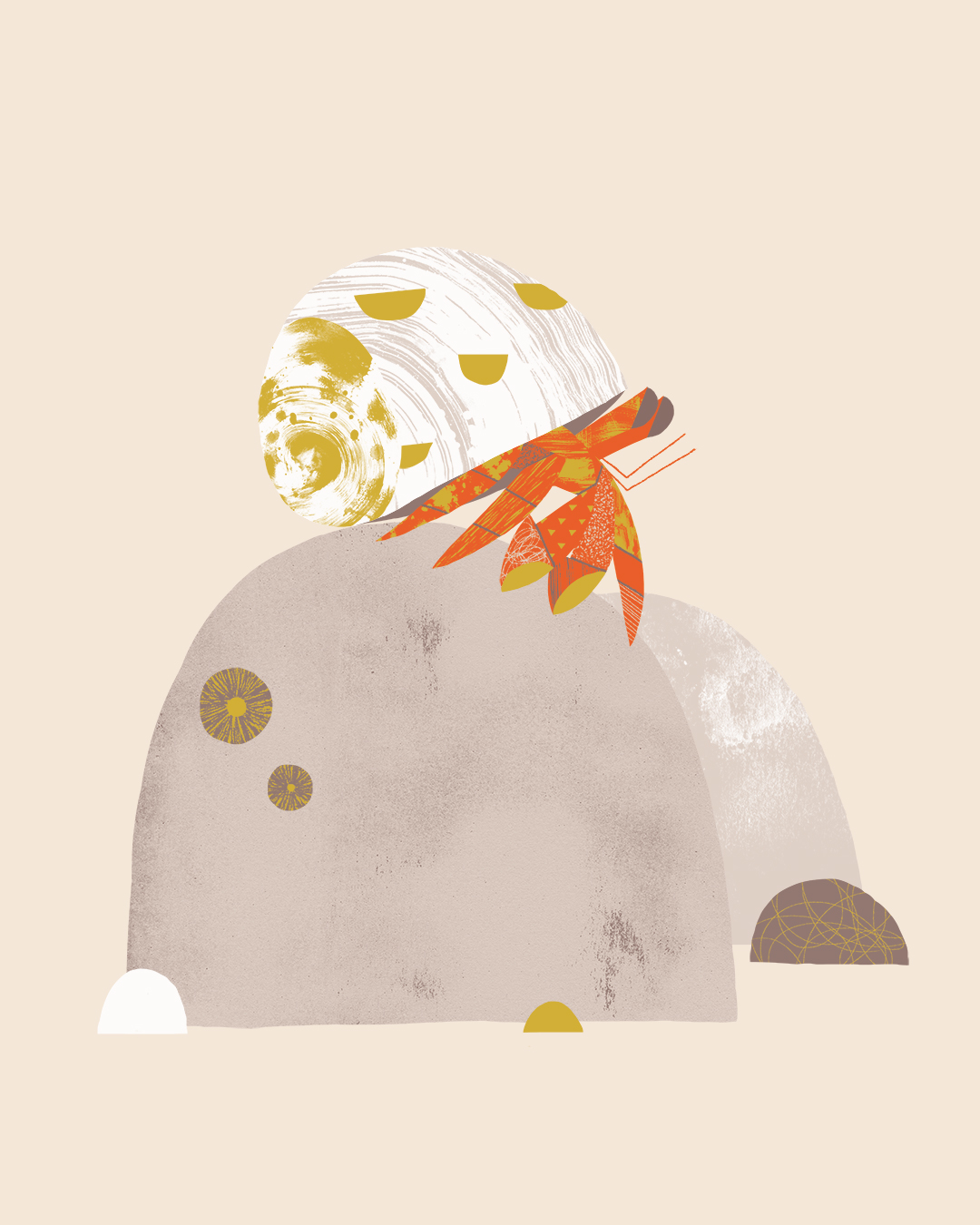 seagull beach print hermit crab Pizza (2).jpg