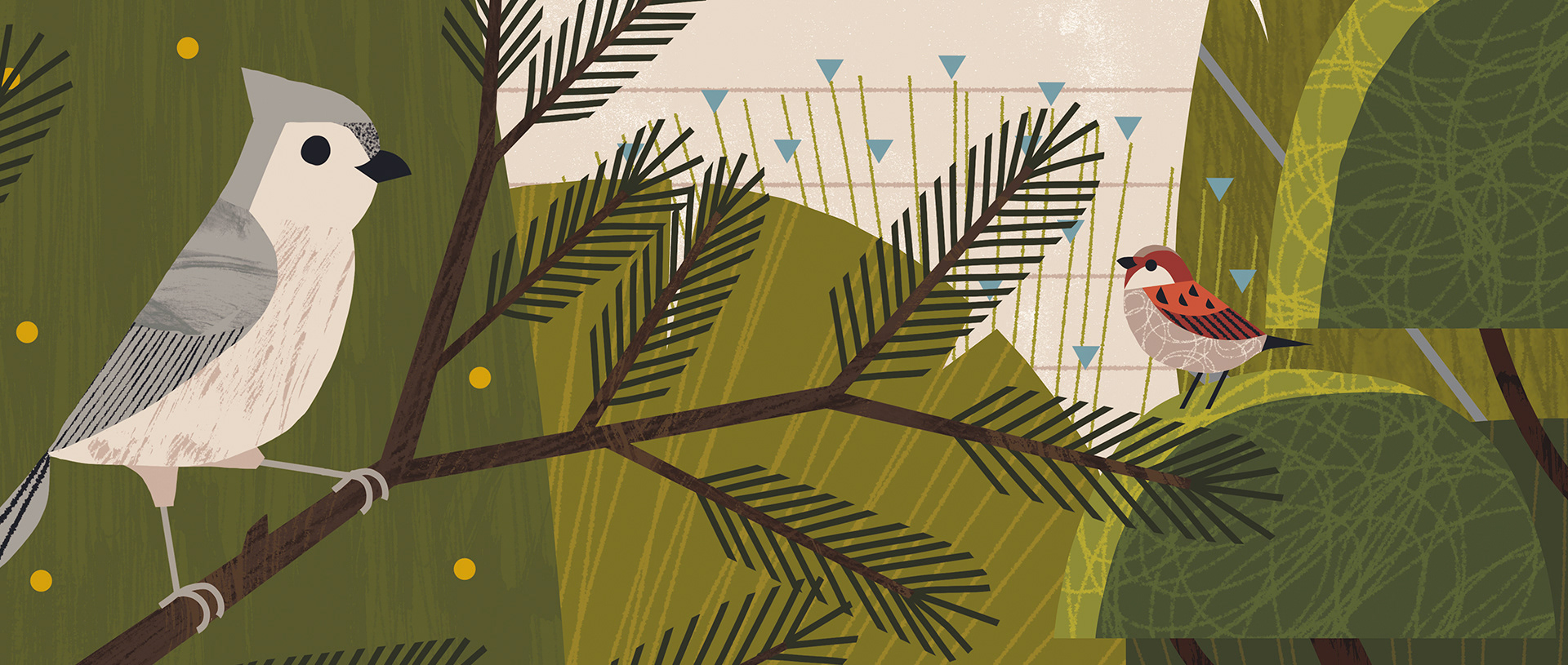 animal bird editorial Nature observation.jpg