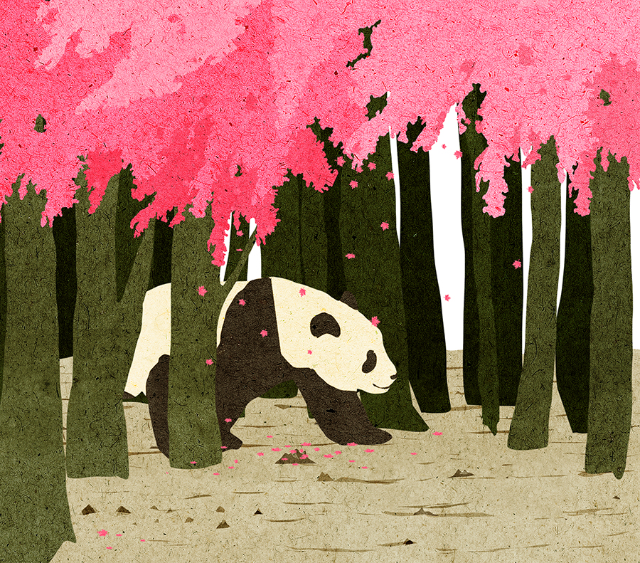 Panda (2).jpg