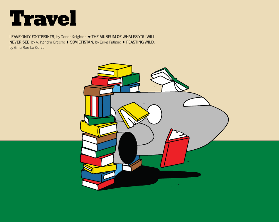 animation  book review Editorial Illustration ILLUSTRATION  Summer Rea (9).png