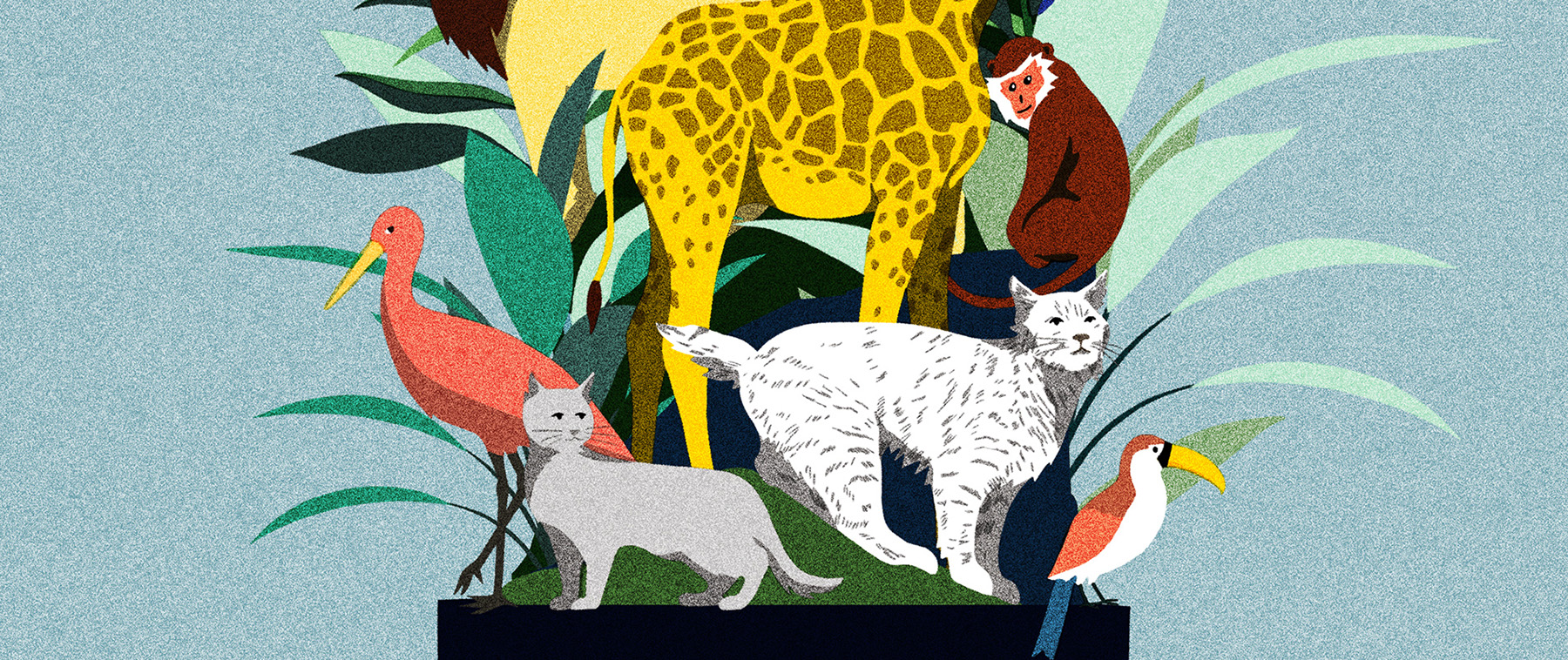 ILLUSTRATION  editorialillustration magazine Ecology future Sciences (8).jpg