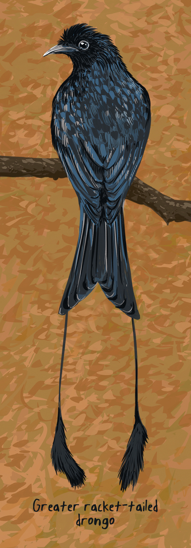 Image may contain bird and cartoon.jpg