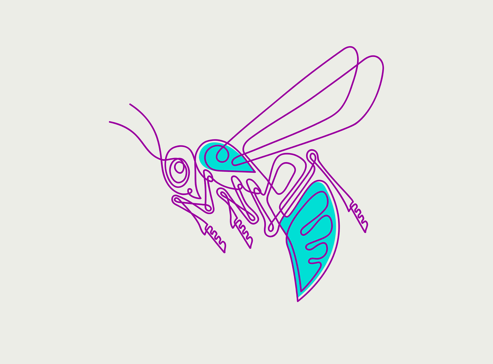 penguin wasp heron Grasshopper toucan beetle crow Insects birds vector.jpg