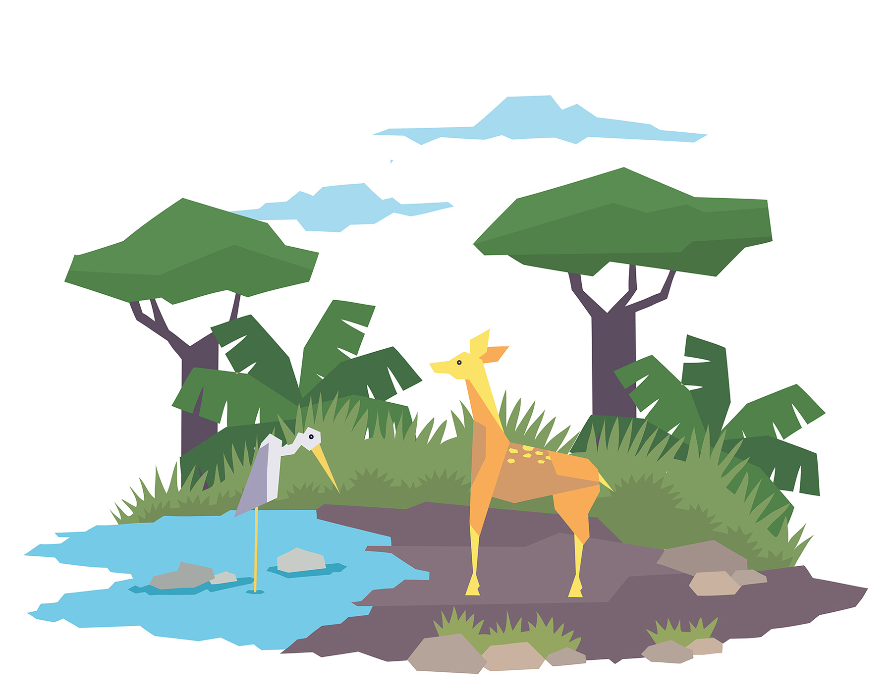 lion tiger monkey deer elephant zebra giraffe bison Hippopotamus Rhino (6).jpg