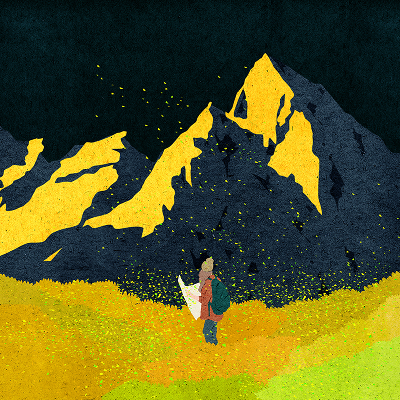 art Flowers ILLUSTRATION  mountain (10).jpg