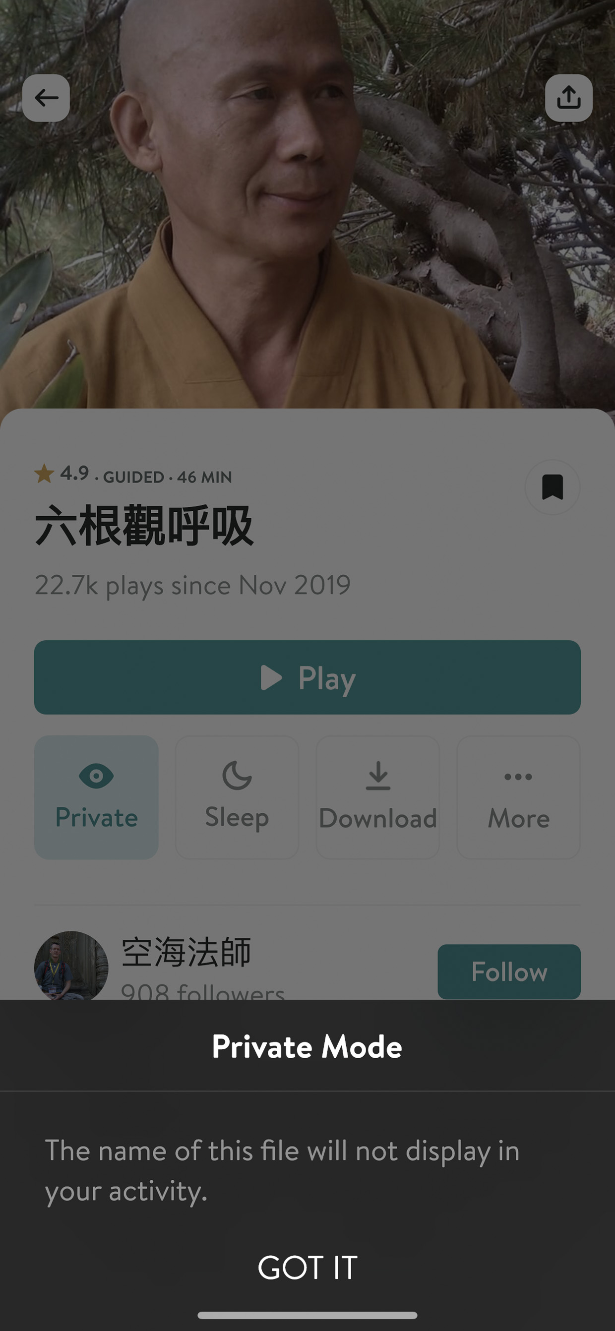 Insight Timer