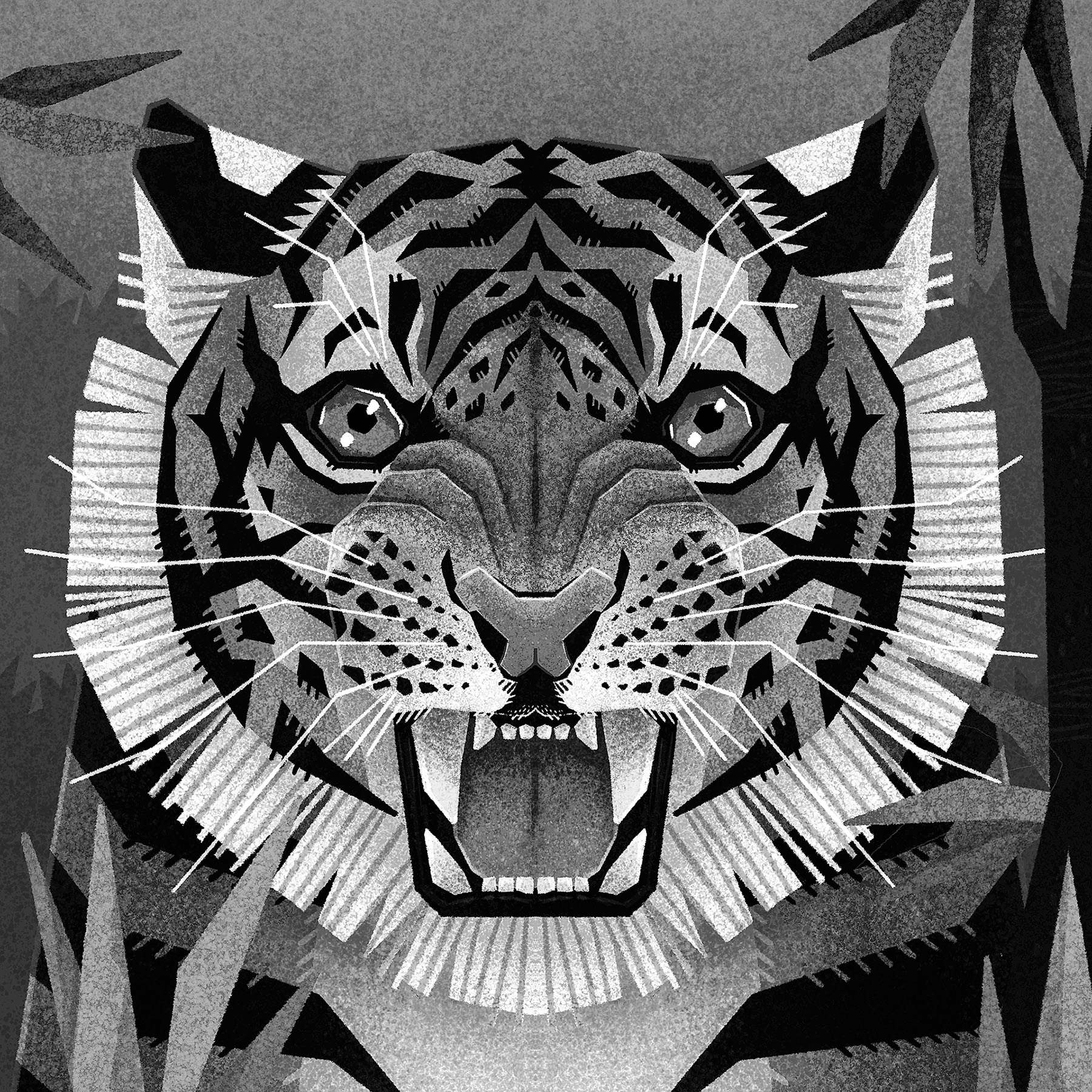 ALL ABOUT TEETH on Behance (2).jpg
