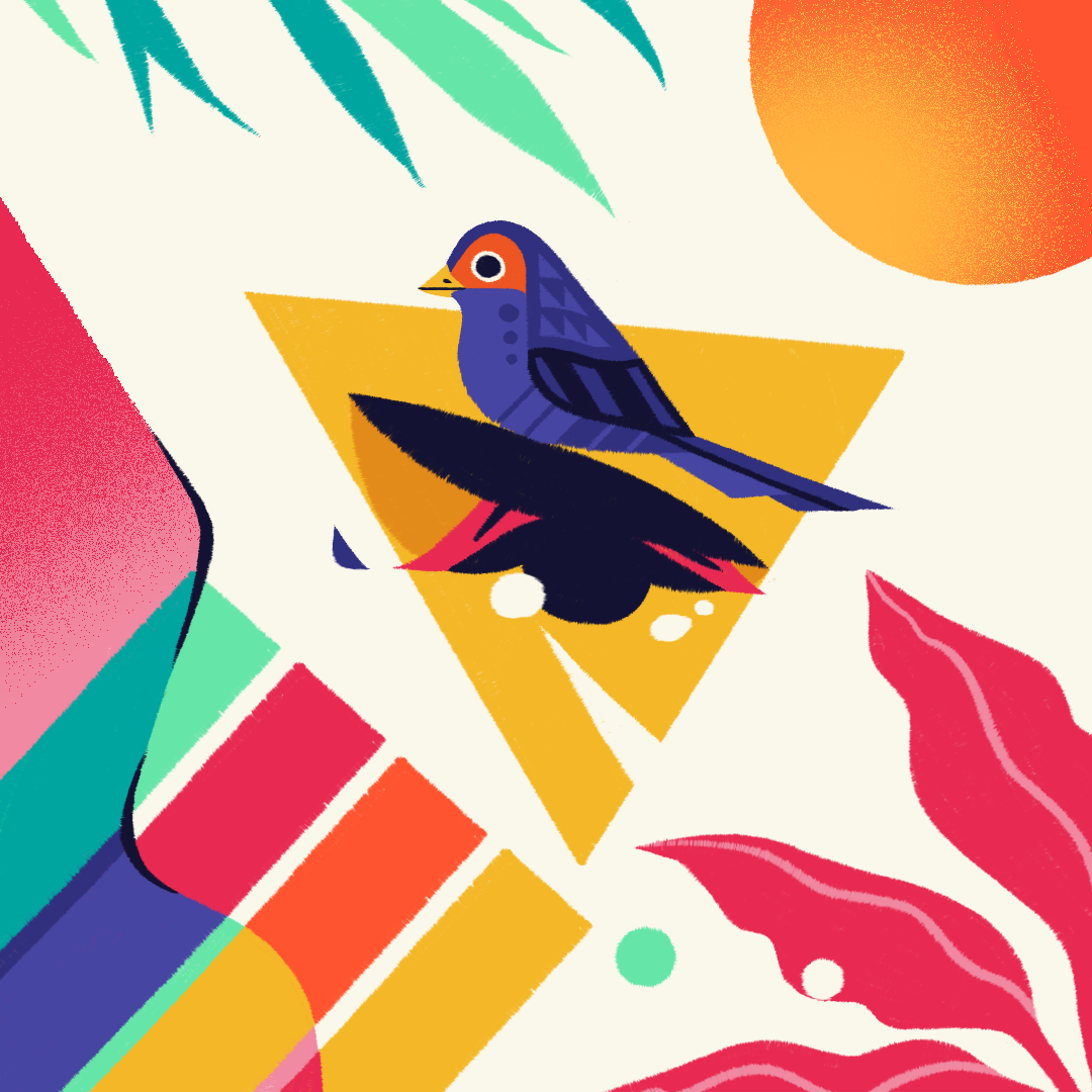 Cintiq color colores Form geometria geometry Nature Tropical tropical.png