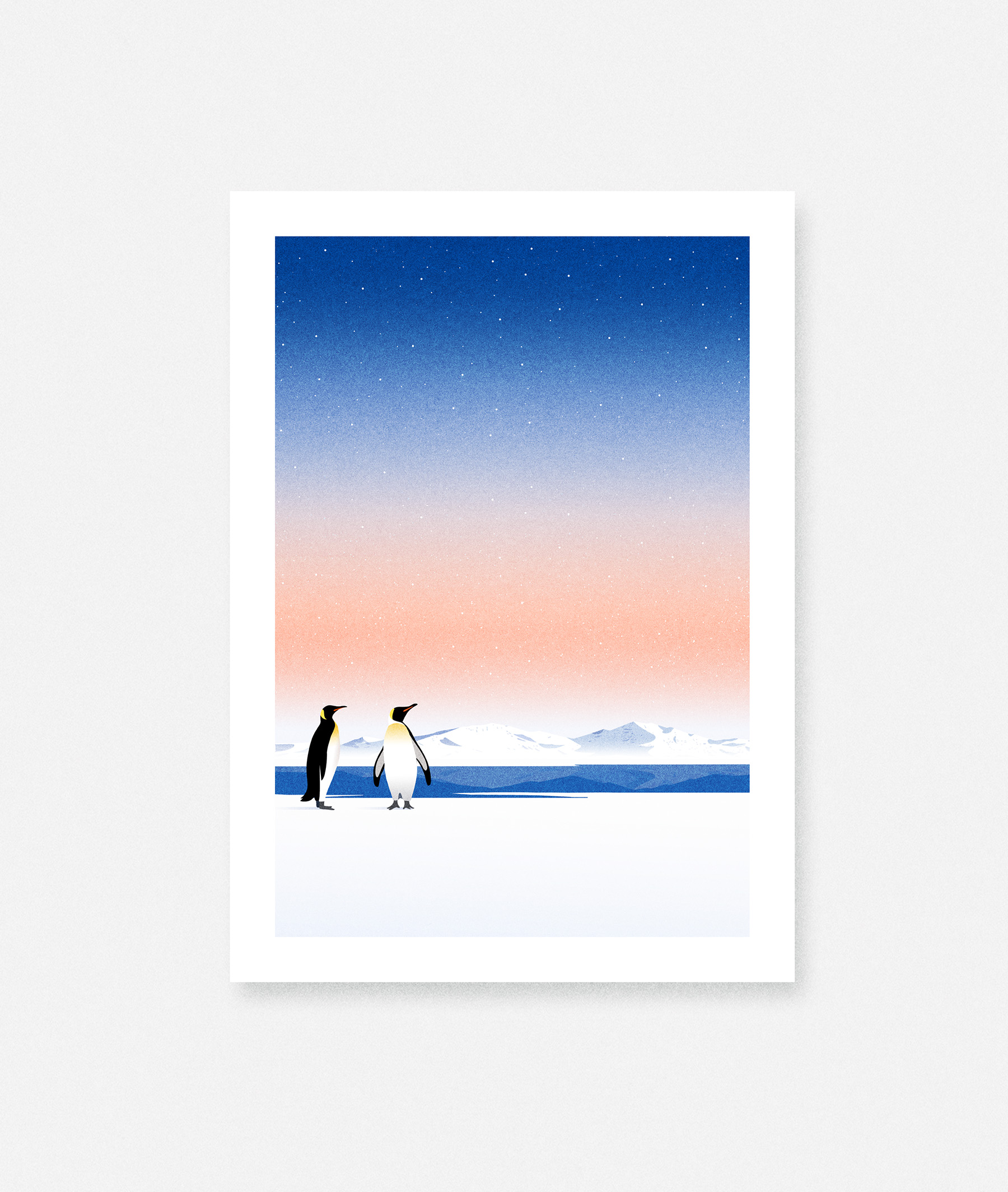 Escale on Behance.jpg
