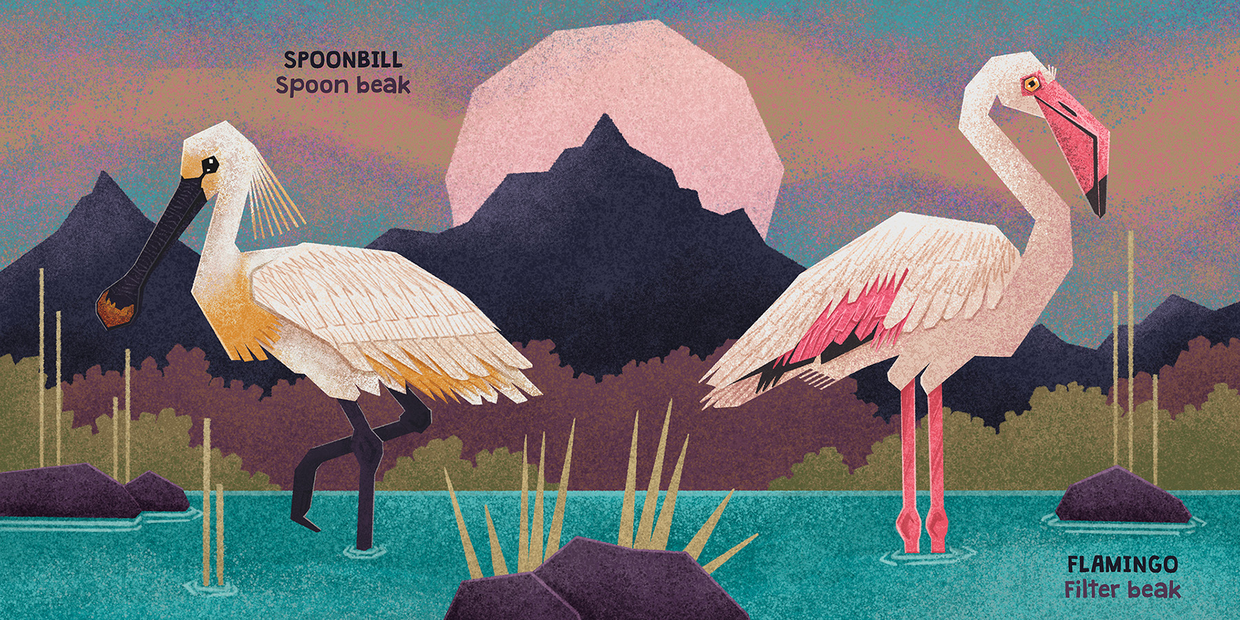 Bird Illustration childrensbook kidlit kidlitart Picture book Procreat (4).jpg