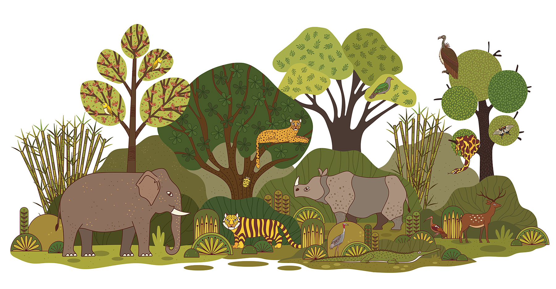 book illustration book cover art Gond Art India vector art design envi.jpg