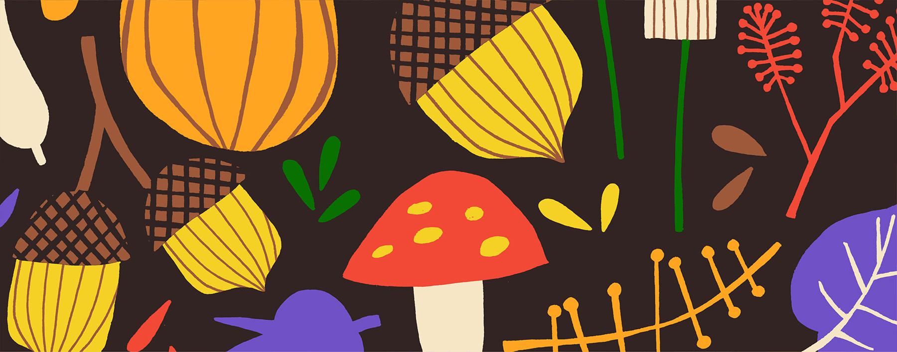 autumn Fall leaf leaves Mushrooms nuts chestnuts pumpkin season Oneday (3).jpg