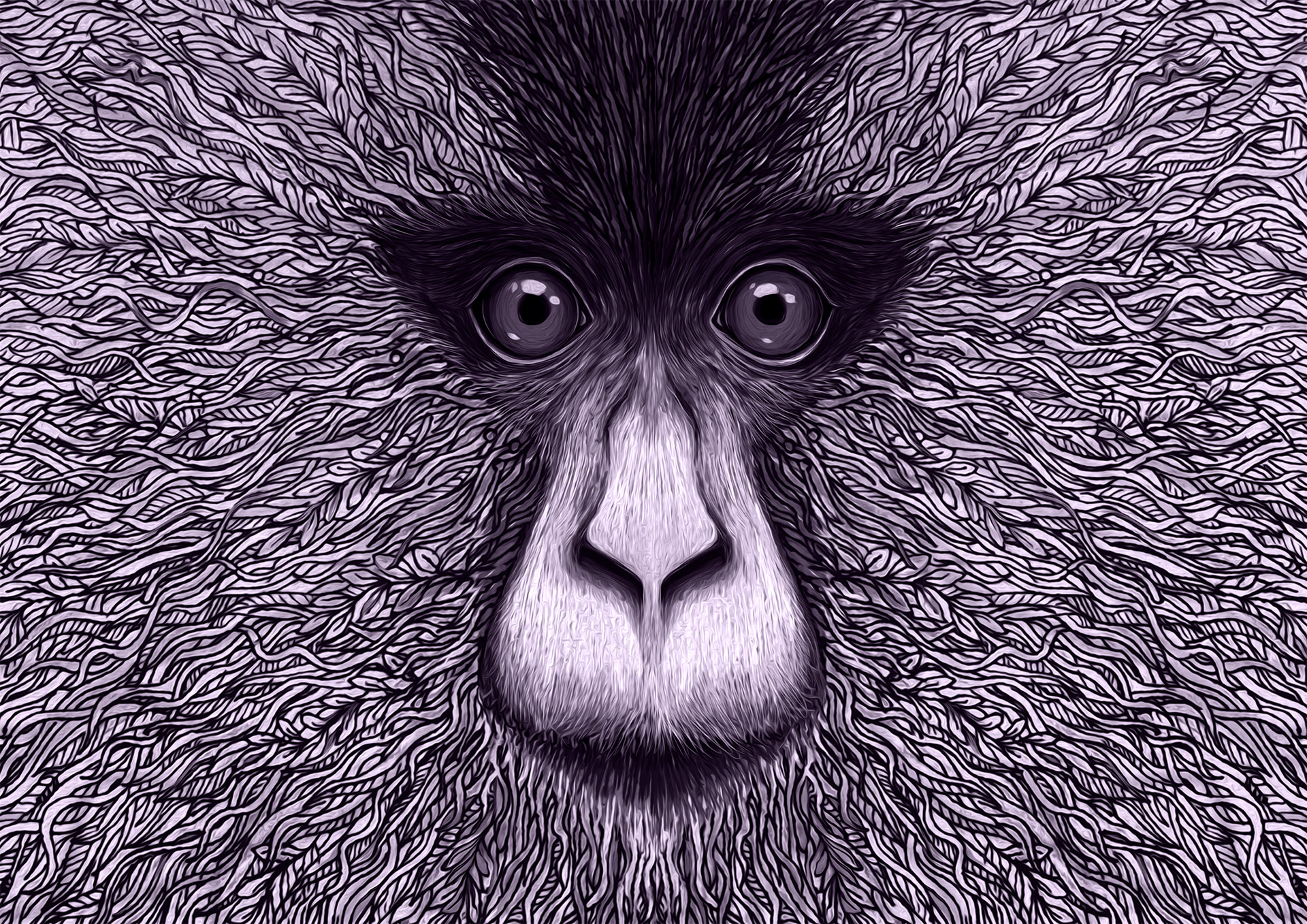 endangered wildlife monkey Turtle NATGEO vulture animal conservation t (2).jpg