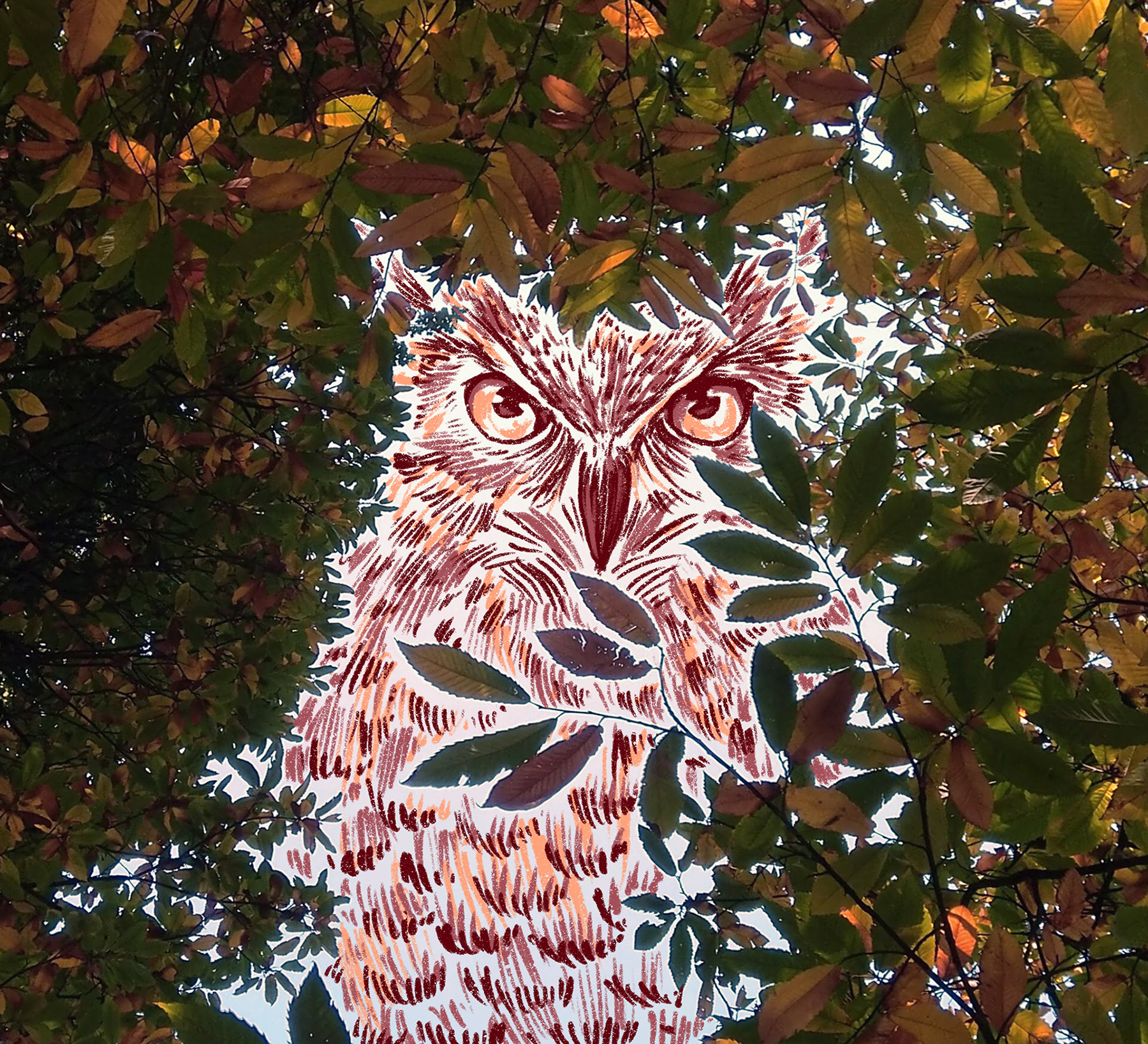 Image may contain tree and outdoor.jpg