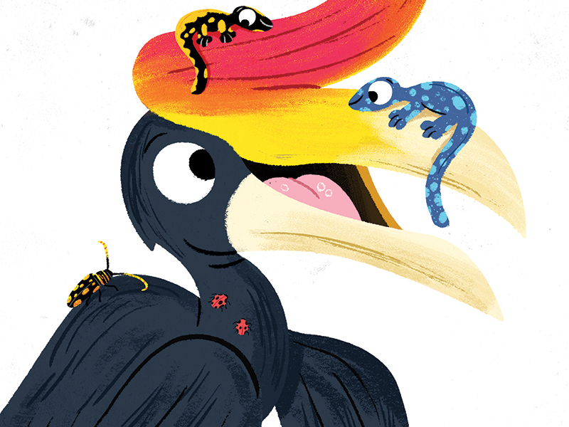 Hornbill animal animals book character colour cute drawing fun illustr.jpg