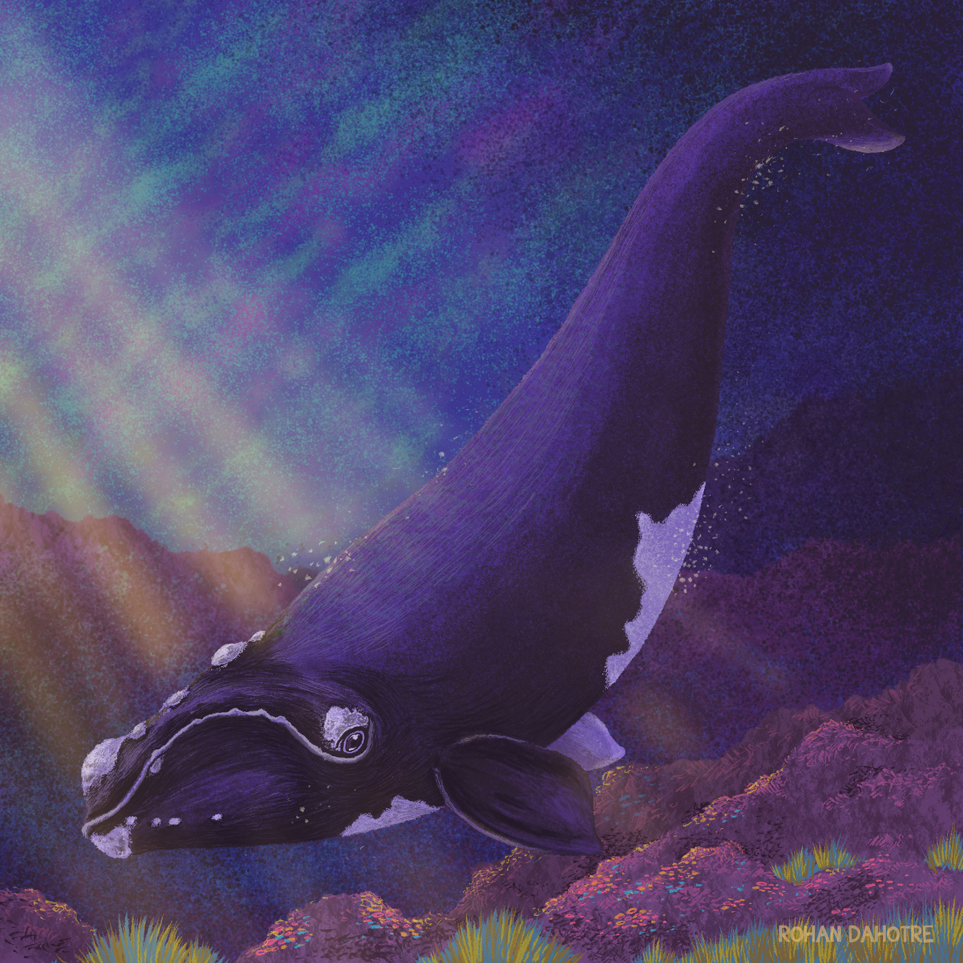 BBC endangered species Rhino wildlife Bumblebee Whale david attenborou (2).jpg