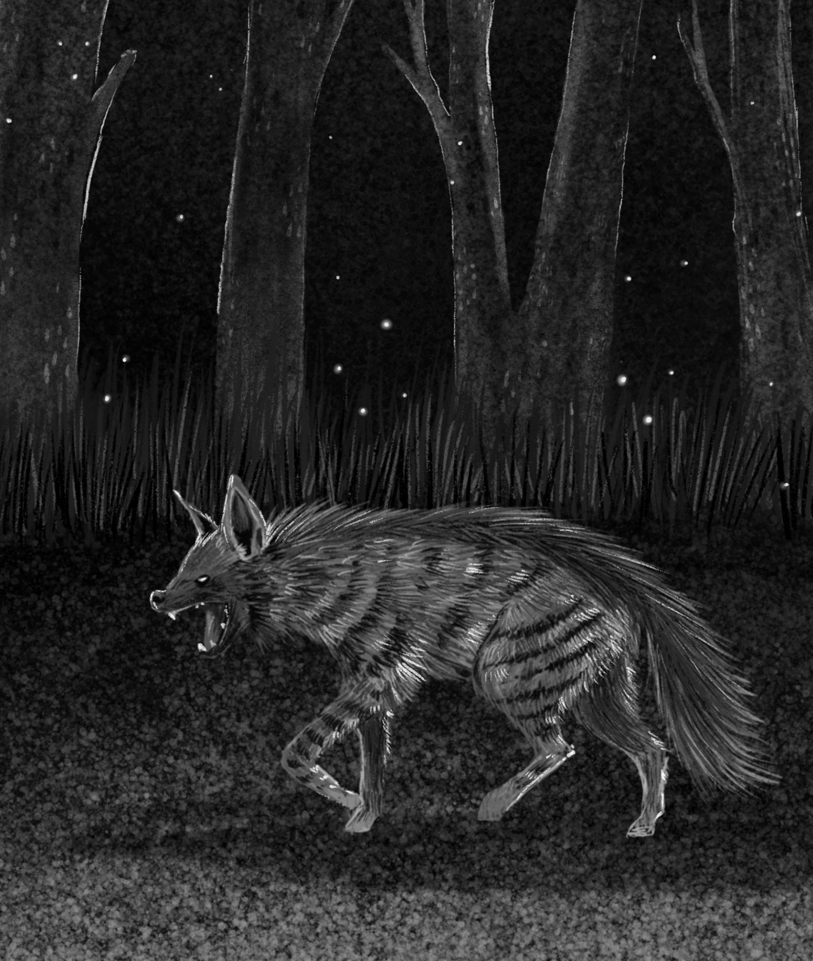 BOOK ILLUSTRATION - ANIMALIA INDICA on Behance (9).jpg