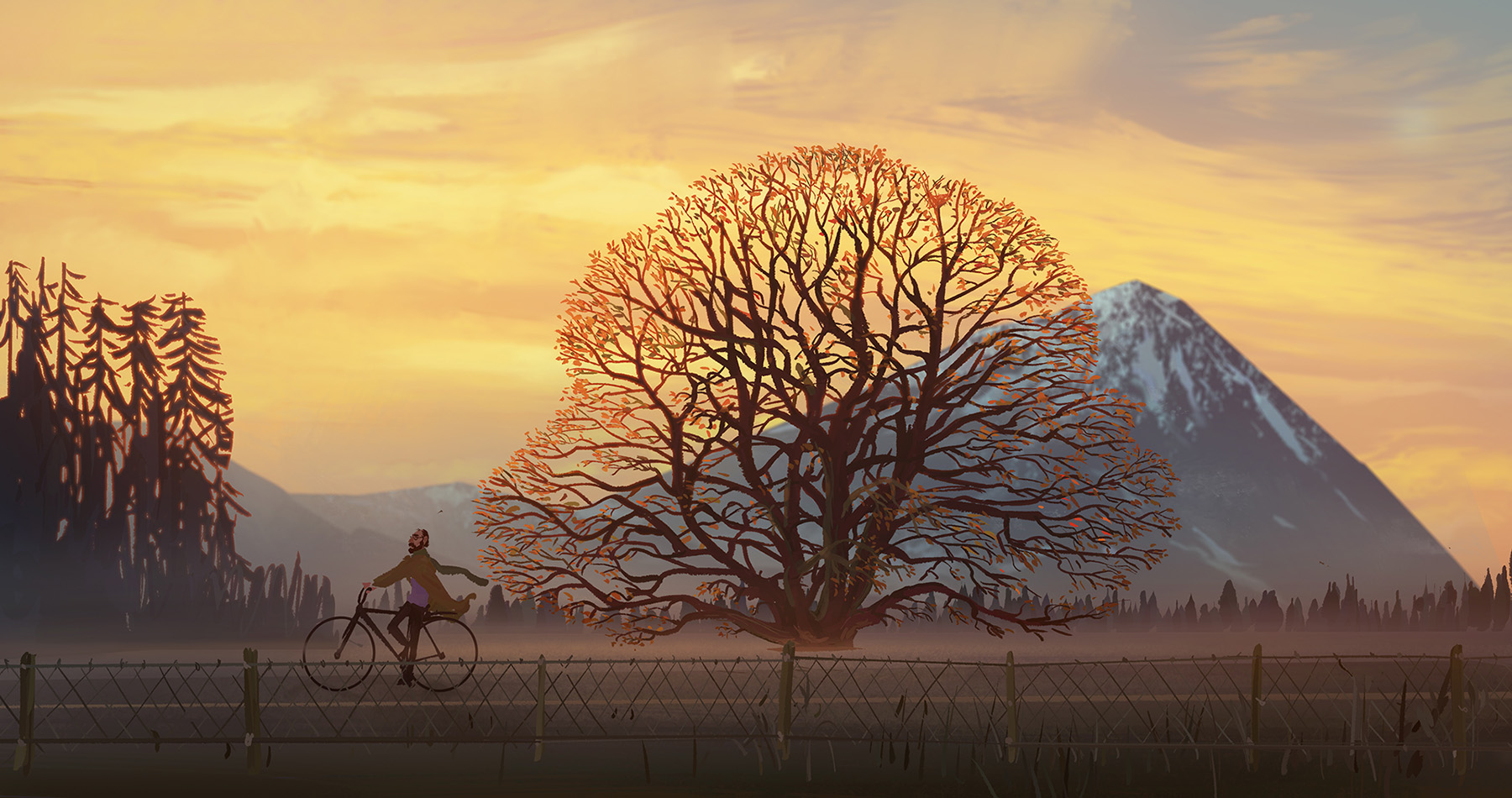 November Practice and bonus video on Behance.jpg