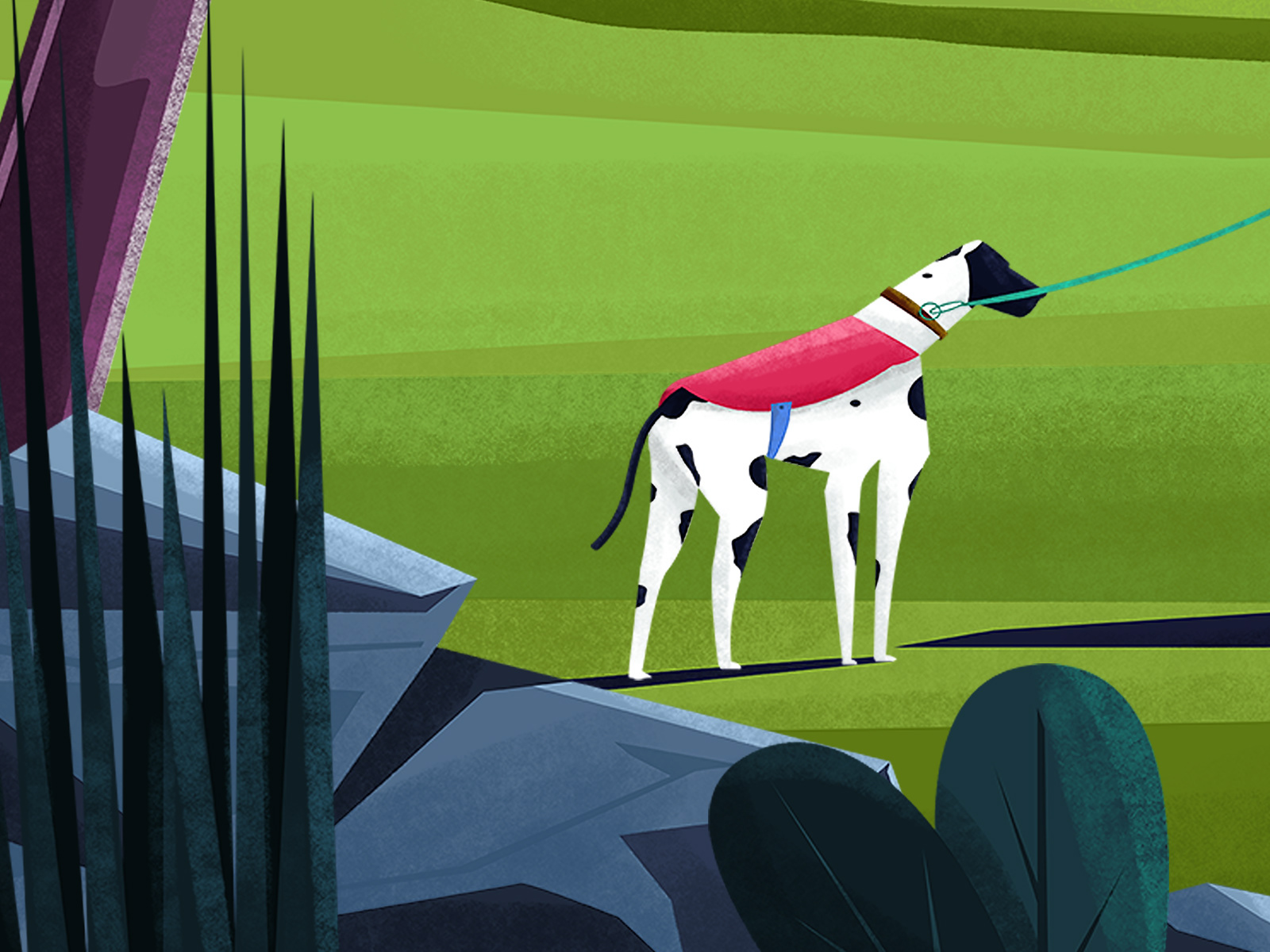 Nature Character design  ILLUSTRATION  dog human women SKY Flowers Cat (2).jpg