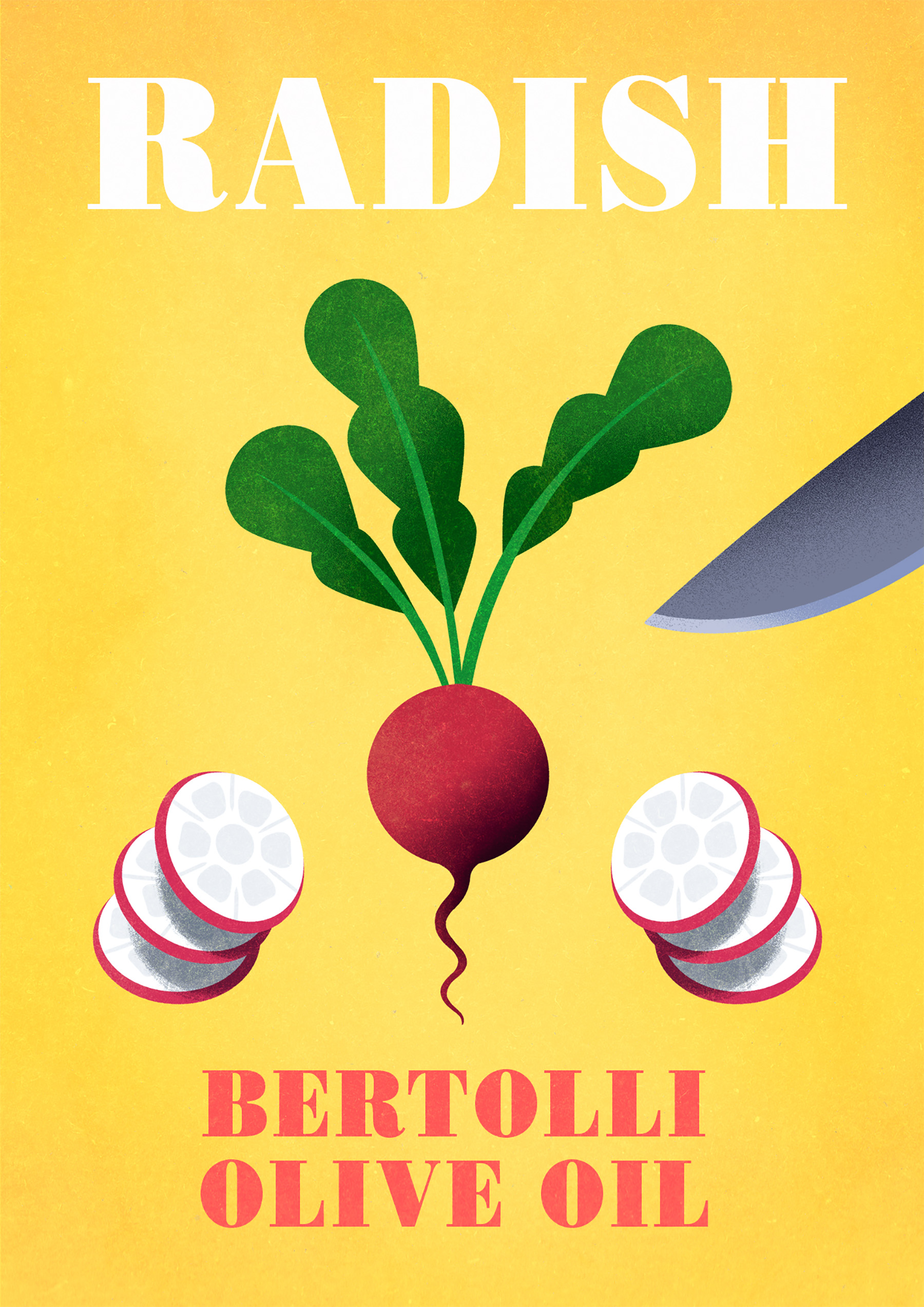 Bertolli Illustrations on Behance (2).jpg