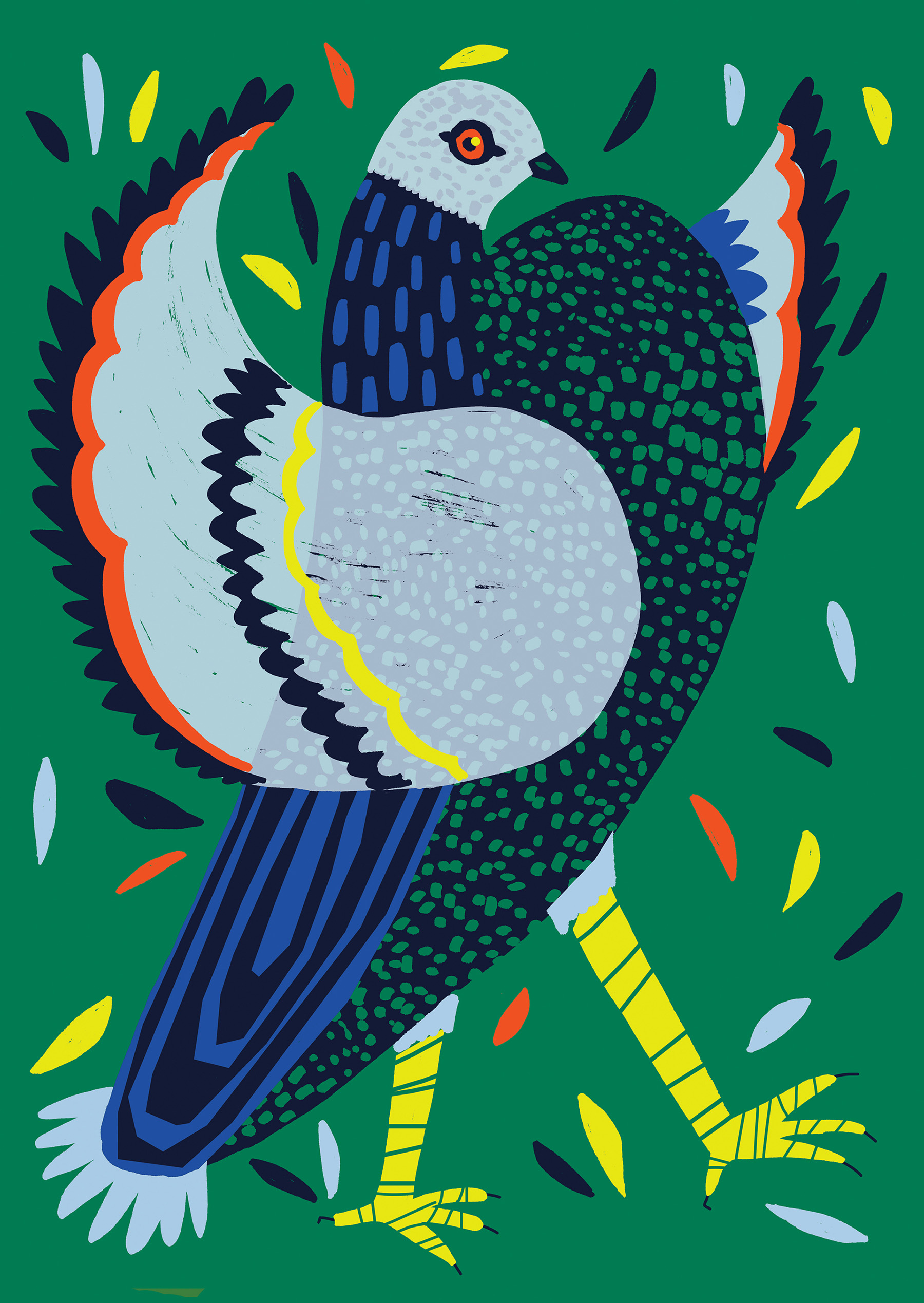 bird birds animals duck mallard hornbill cockatiel Rooster pigeon dove.jpg