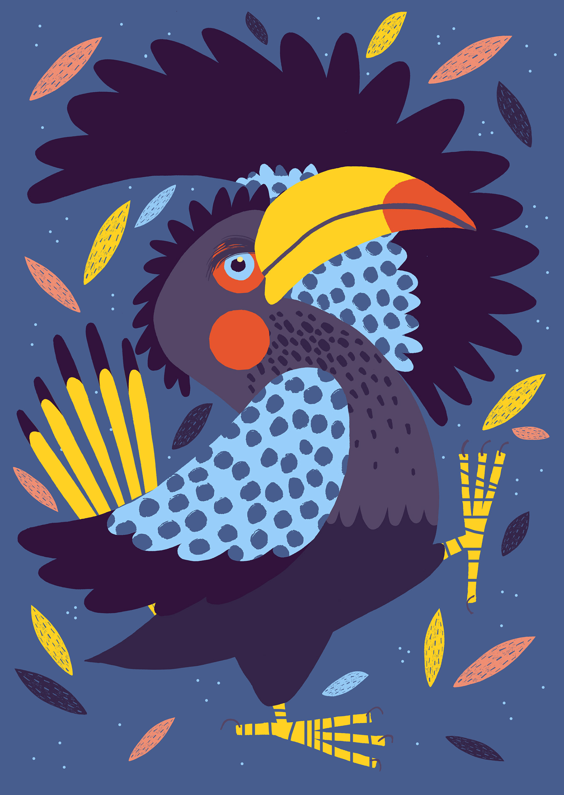 bird birds animals duck mallard hornbill cockatiel Rooster pigeon dove (3).jpg