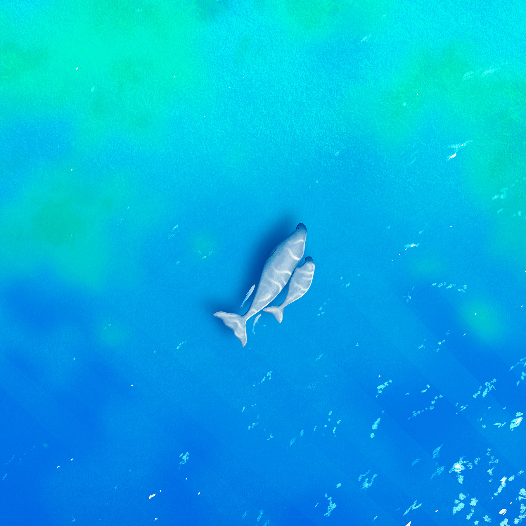 climate change dugong environment Greenpeace Ocean ocean conservation-1.jpg
