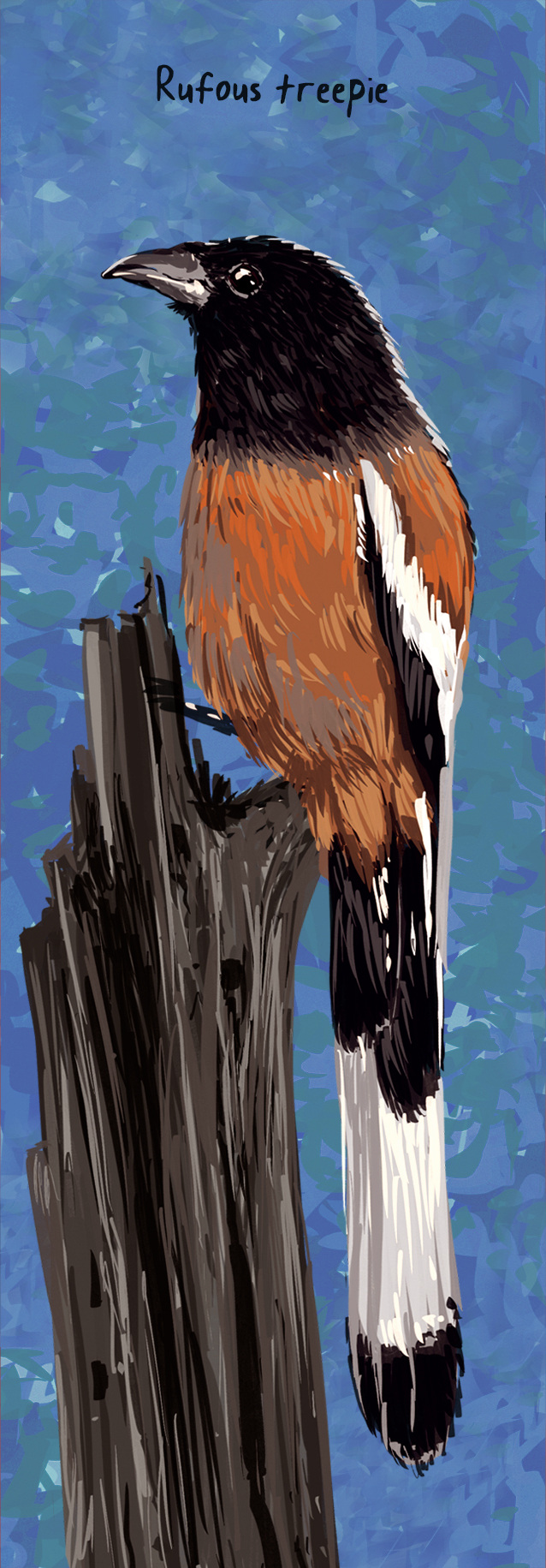 Image may contain bird-1.jpg