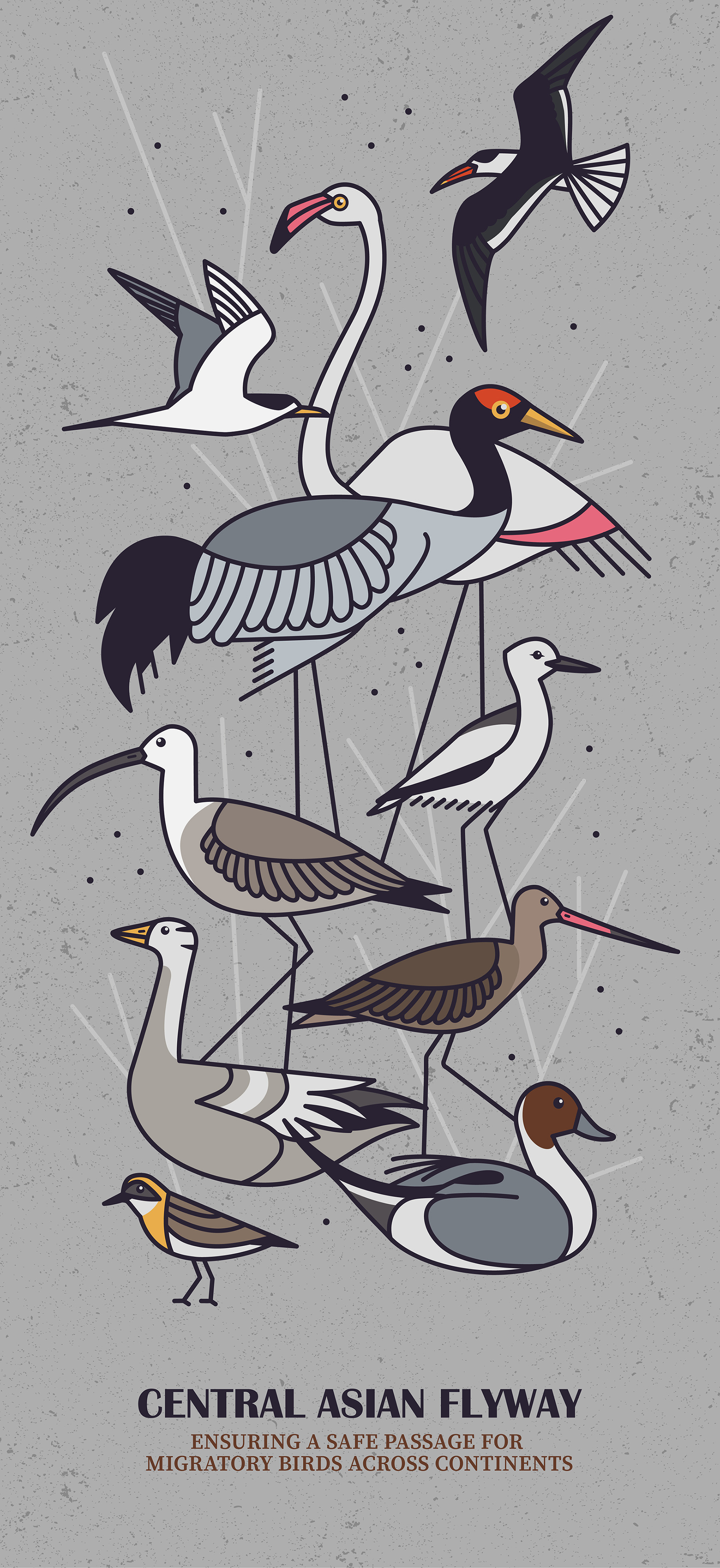 Image may contain bird, book and illustration.jpg