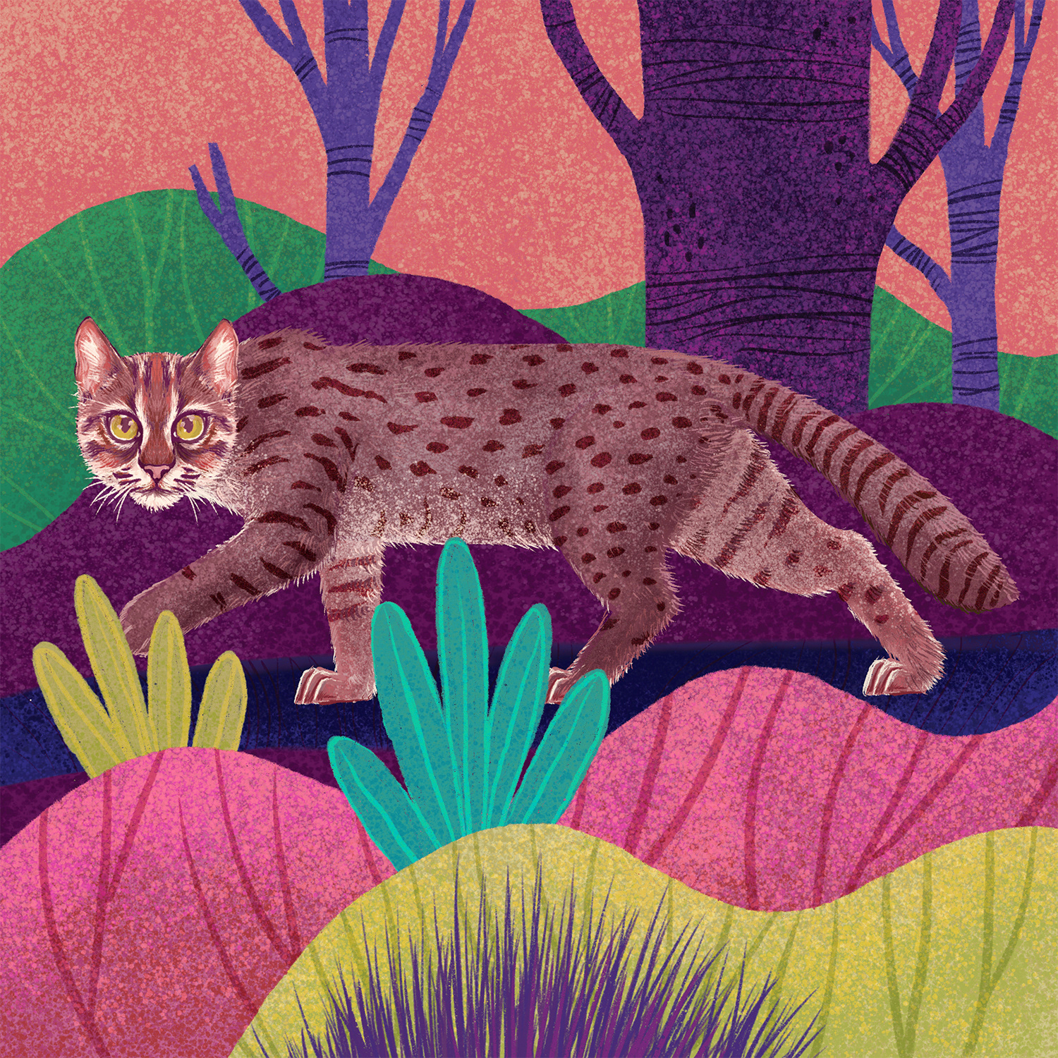 big cat India leopard lion lynx tiger WWF black panther forest Snow Le (2).jpg