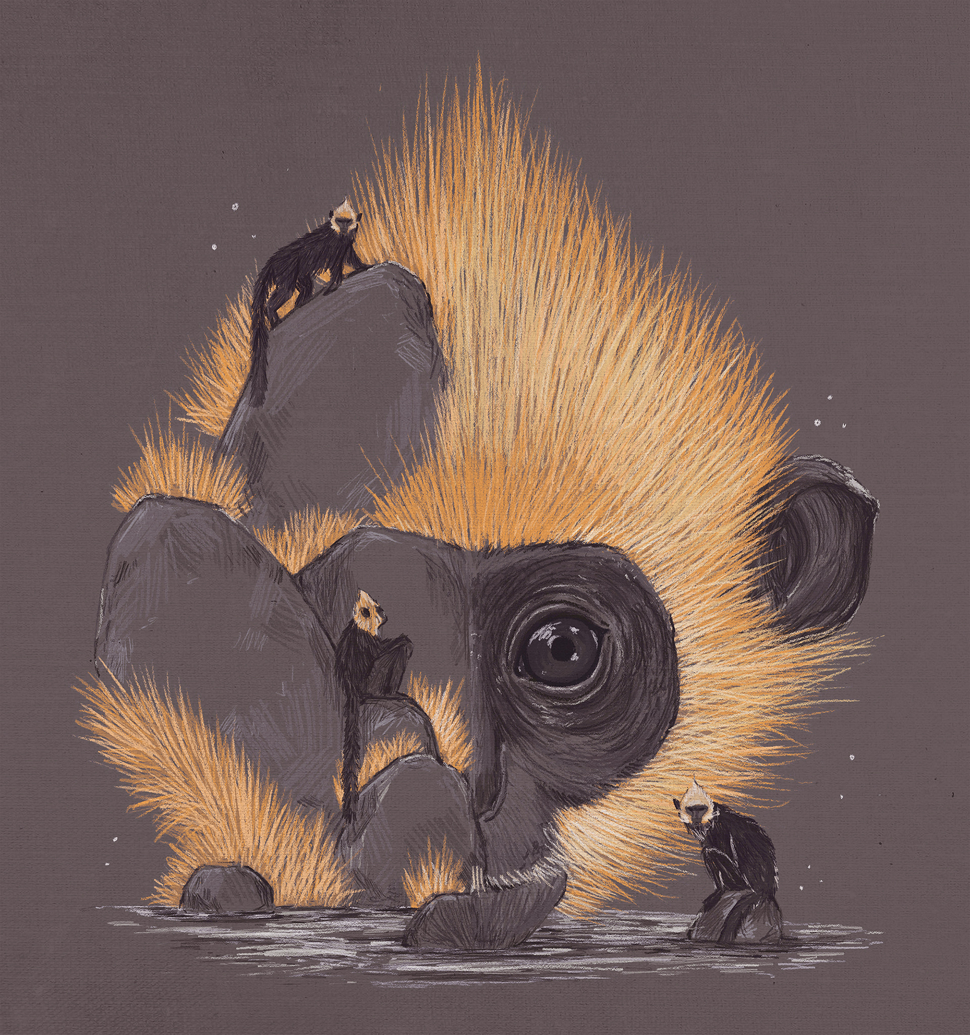 endangered wildlife monkey Turtle NATGEO vulture animal conservation t (4).jpg
