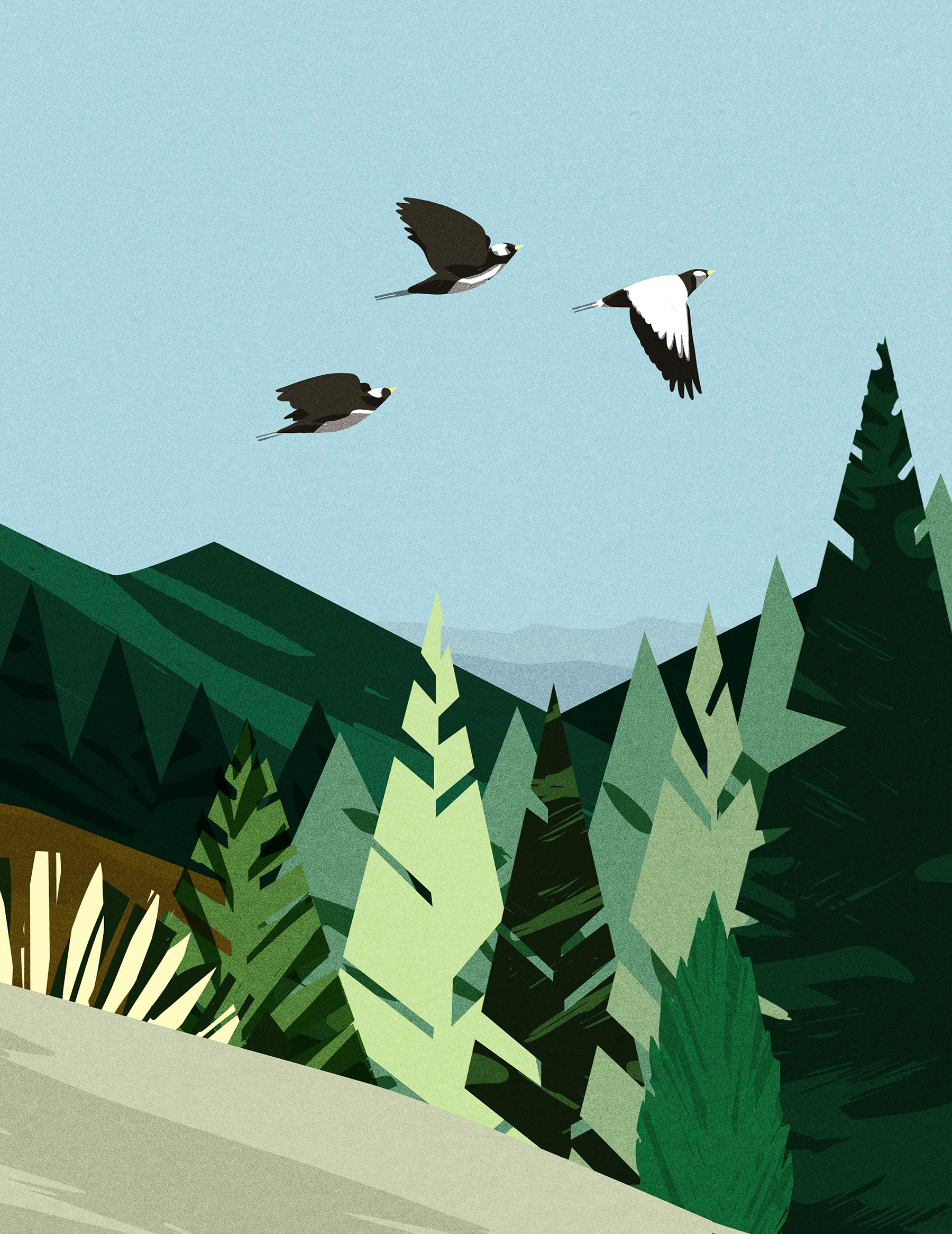 ILLUSTRATION  childrenbook editorialillustration bear (2).jpg