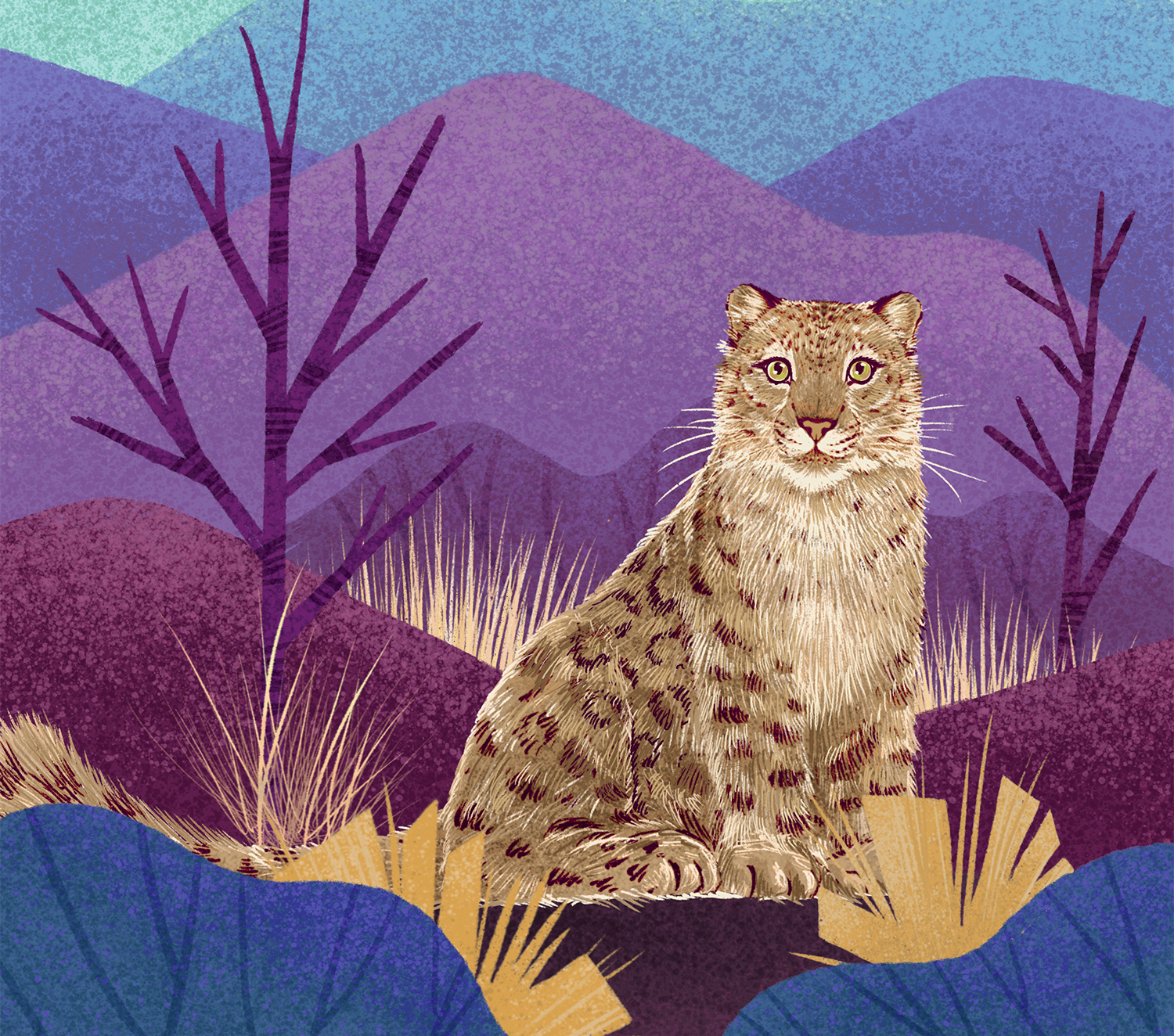 Image may contain cat, animal and carnivore.jpg