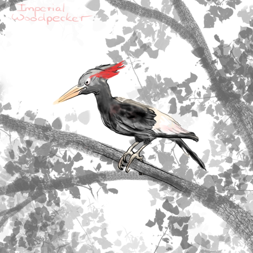 Red - Black Book of Animals on Behance.png
