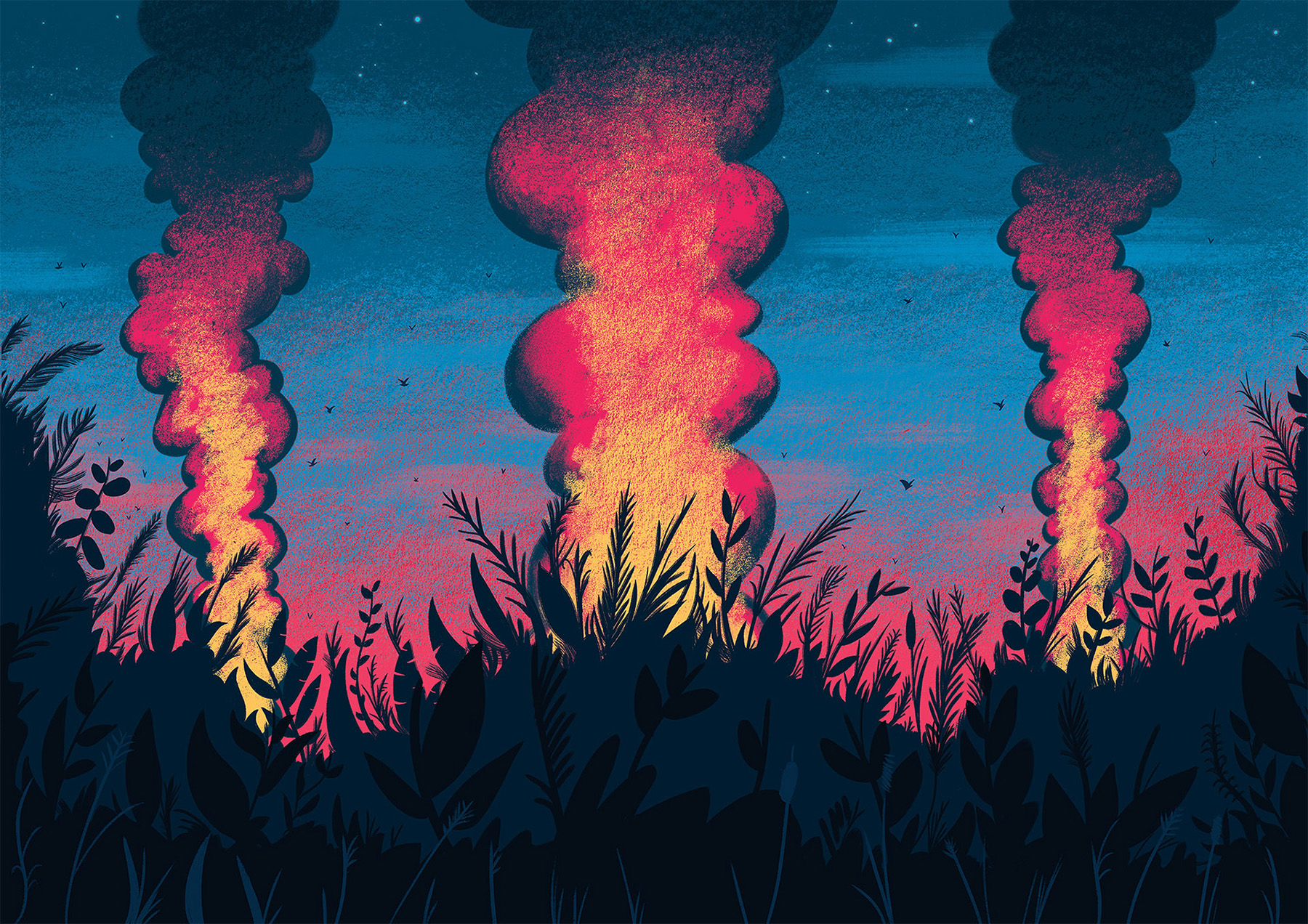 virgin Virgin Earth animation  ILLUSTRATION  climate change (2).jpg
