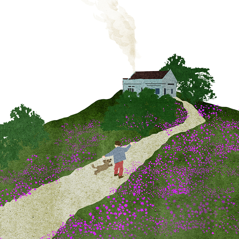 art Flowers ILLUSTRATION  mountain (12).jpg