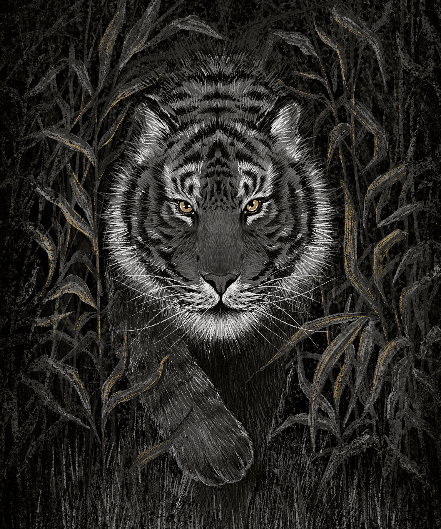 story book illustration book cover art Animal Stories  tiger Digital A.jpg