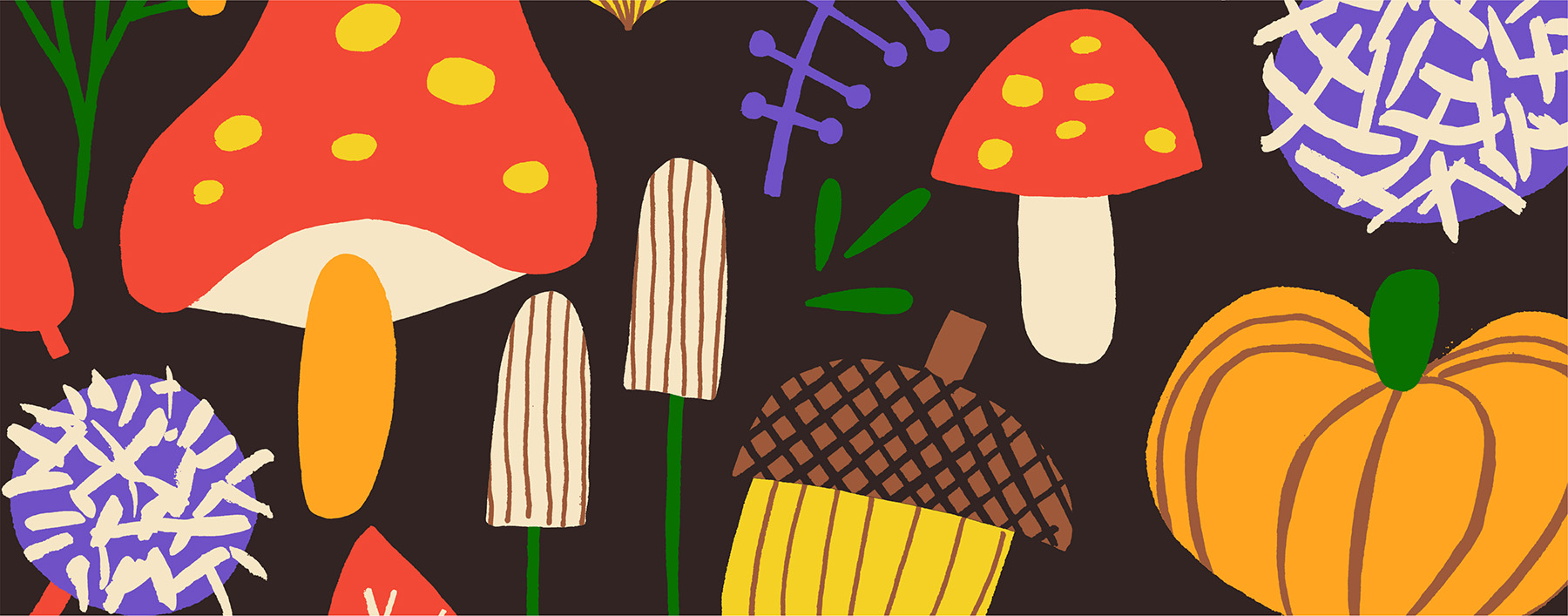 autumn Fall leaf leaves Mushrooms nuts chestnuts pumpkin season Oneday (5).jpg