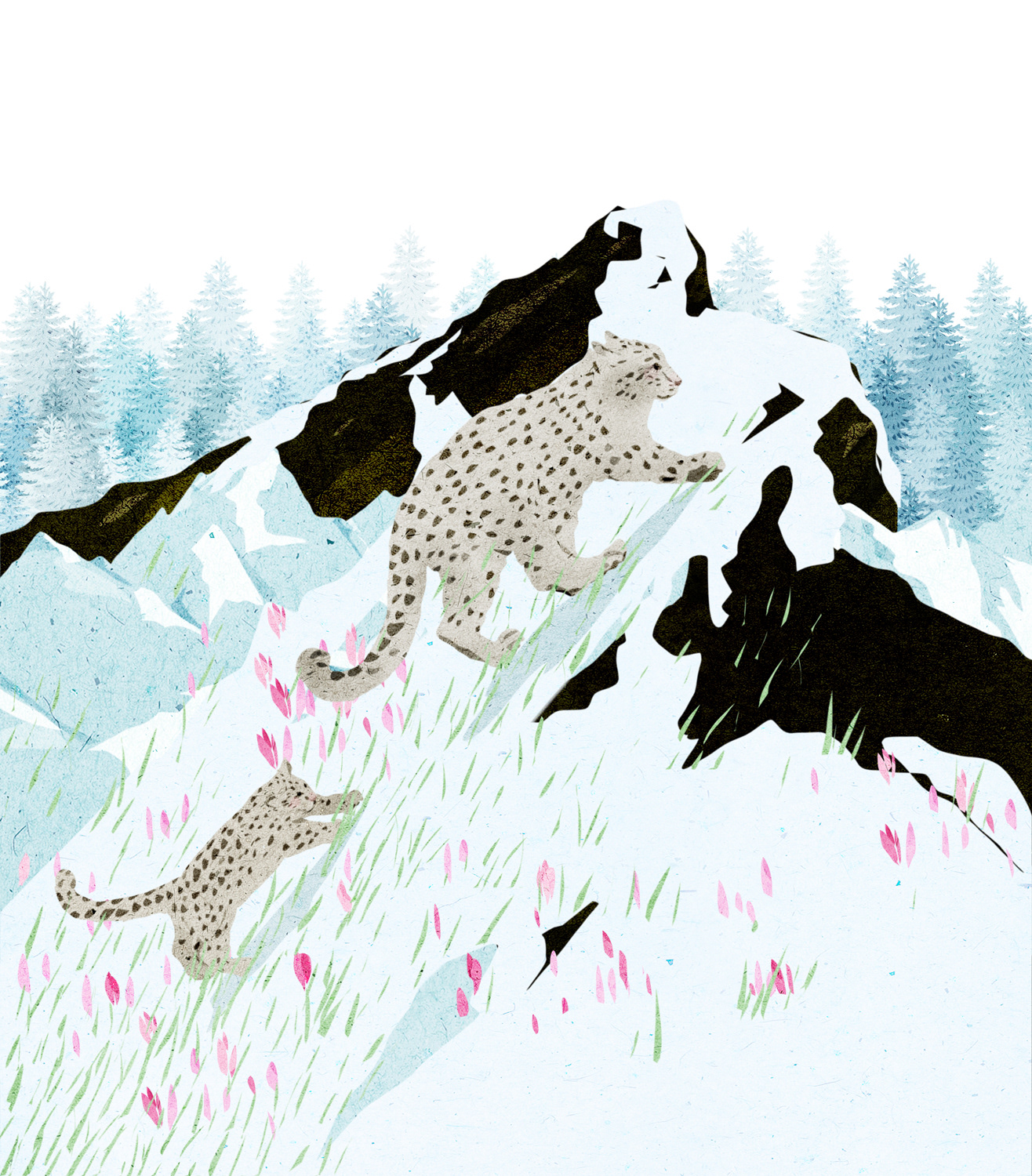 SNOW LEOPARD on Behance.jpg