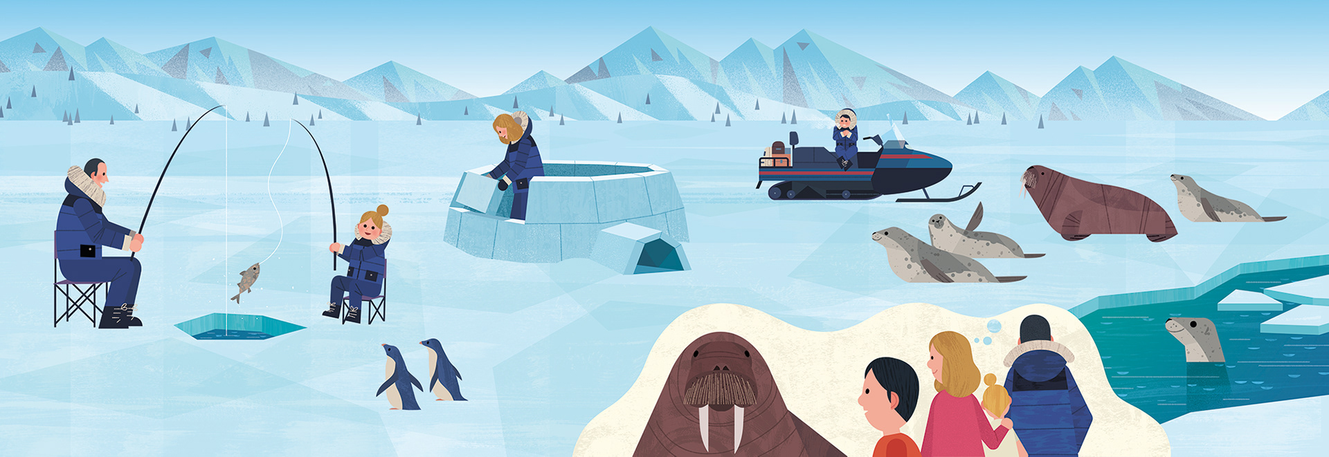 wildlife animal bird butterfly North Pole polar adventure Abyss sea (2).jpg