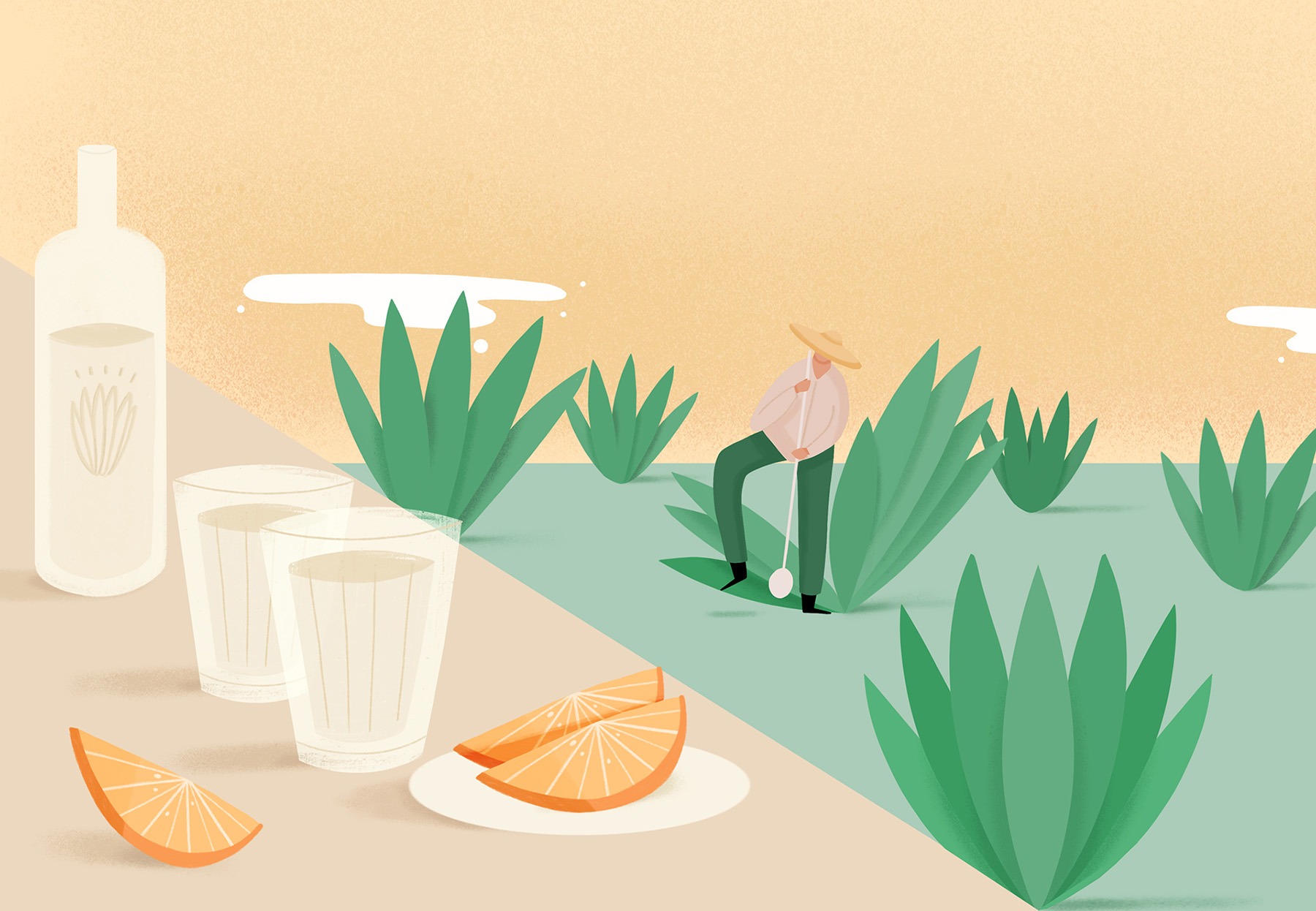 Editorial Illustration mezcal mezcal illustration mexican illustration.jpg