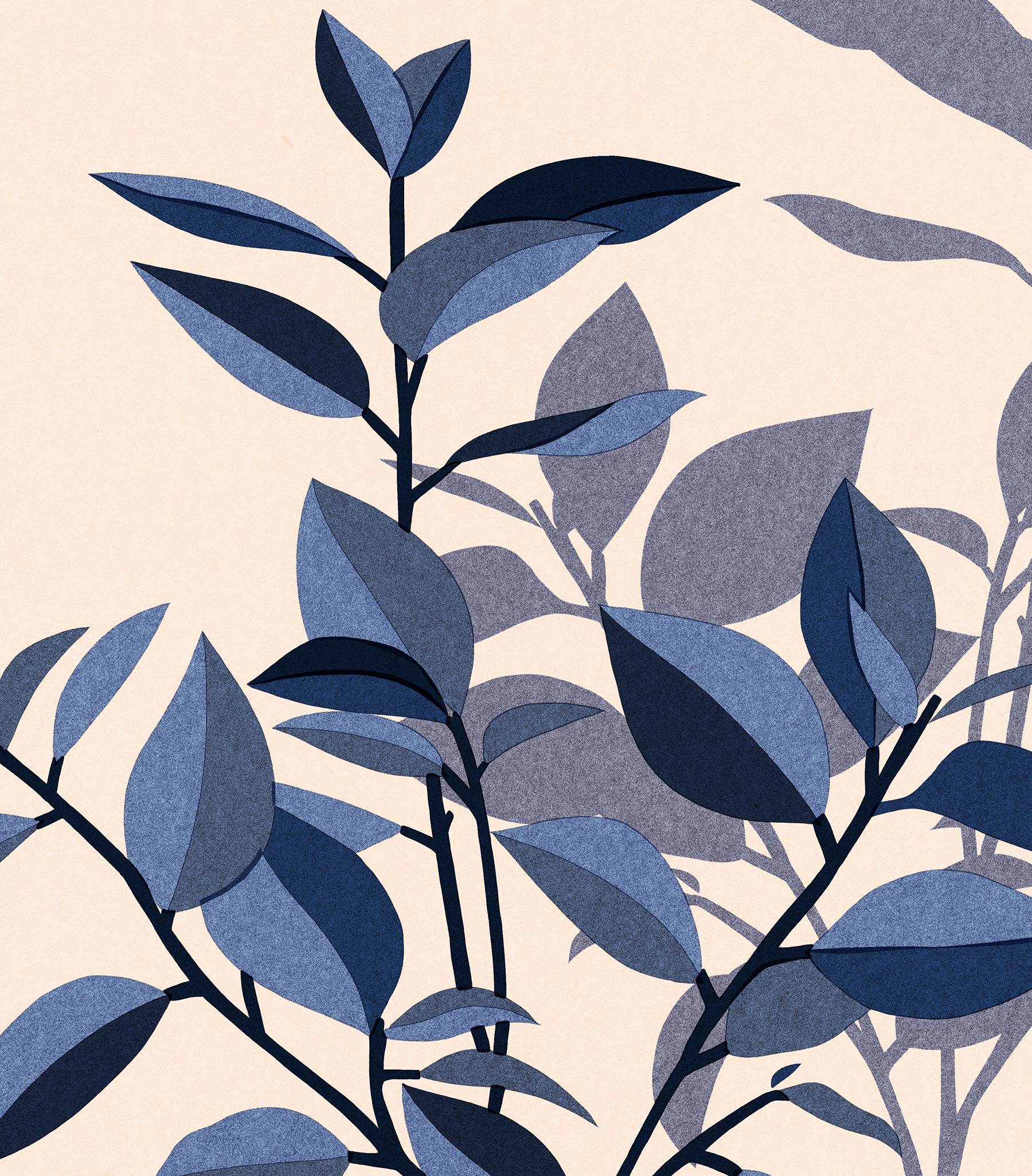 Femme Vivre on Behance.jpg